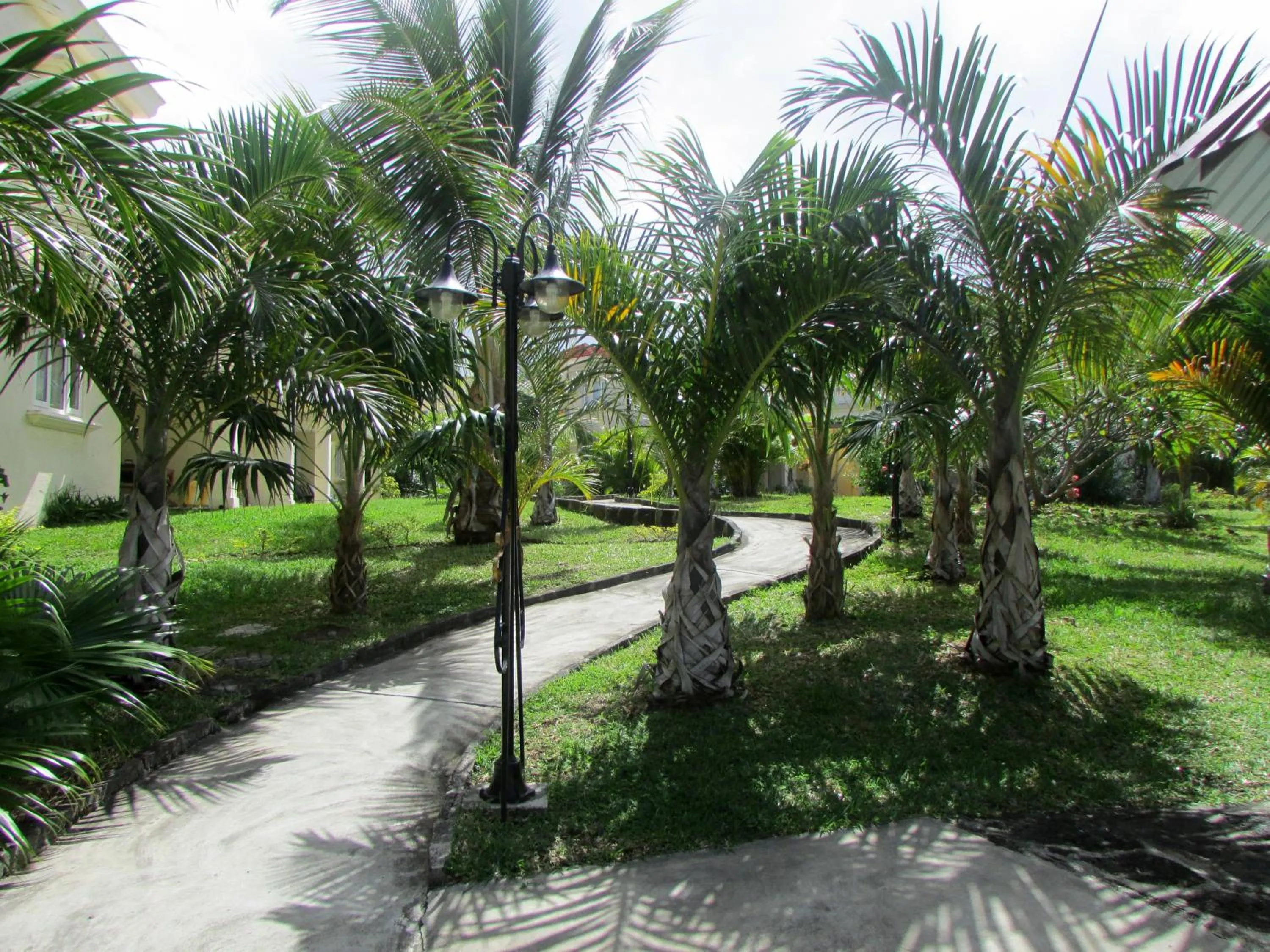 Garden in Golden Rod villa