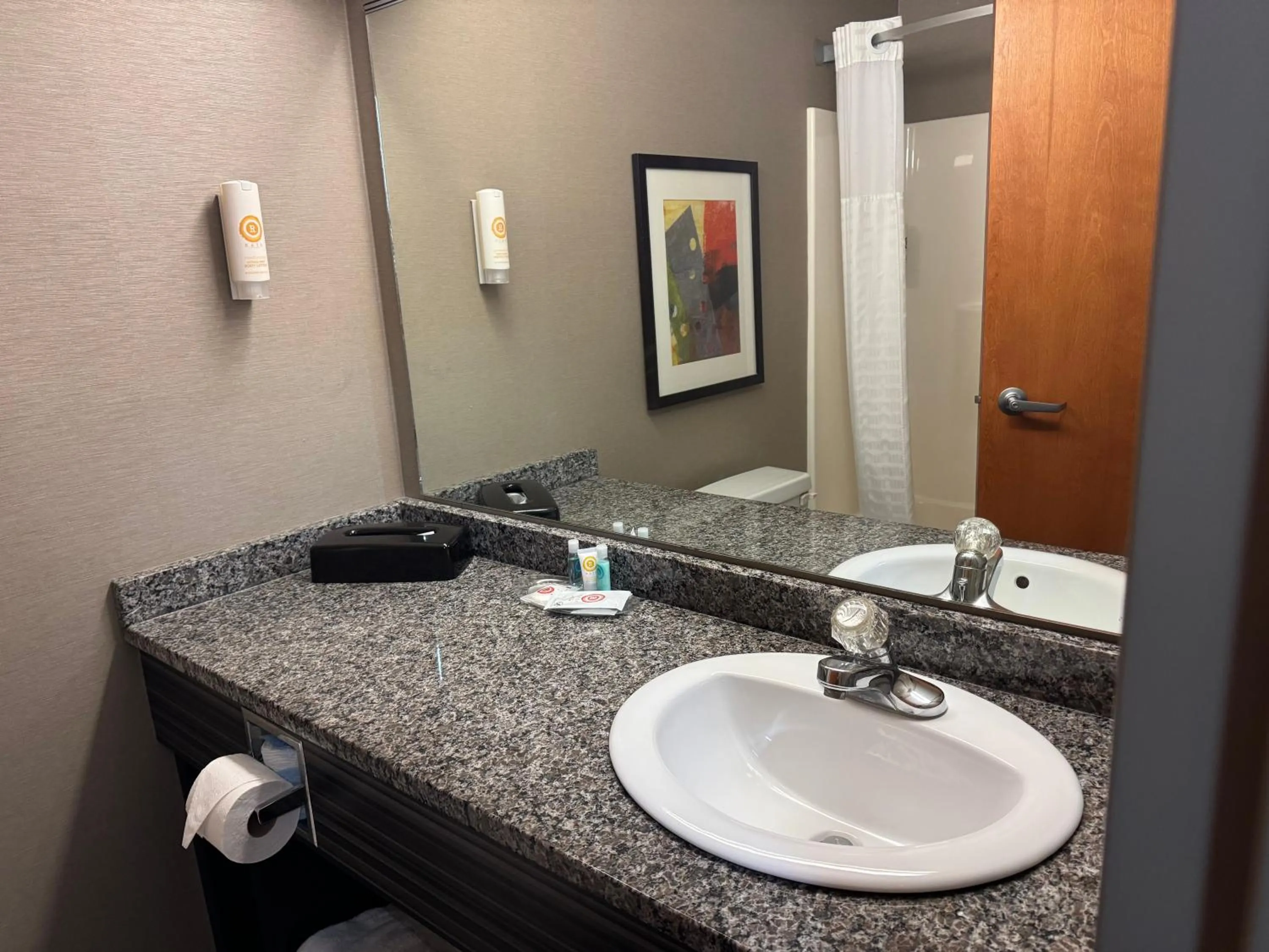 Bathroom in Comfort Inn Huntington near University area