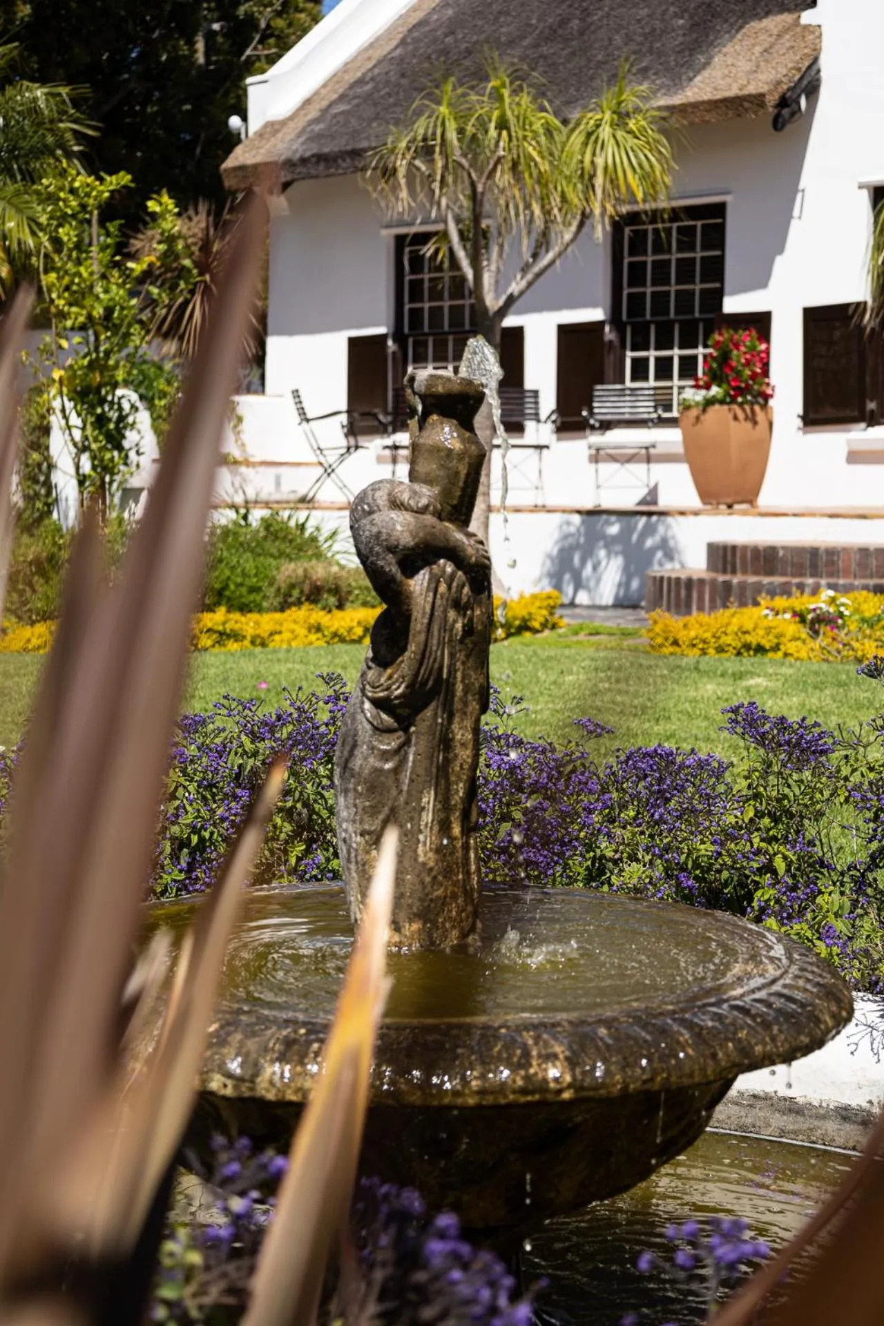 Garden in Cape Village Lodge