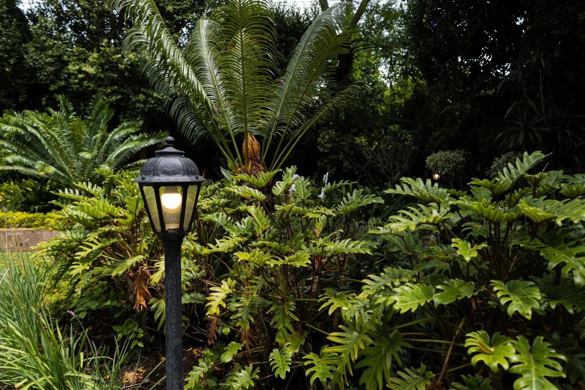 Garden in Cape Village Lodge