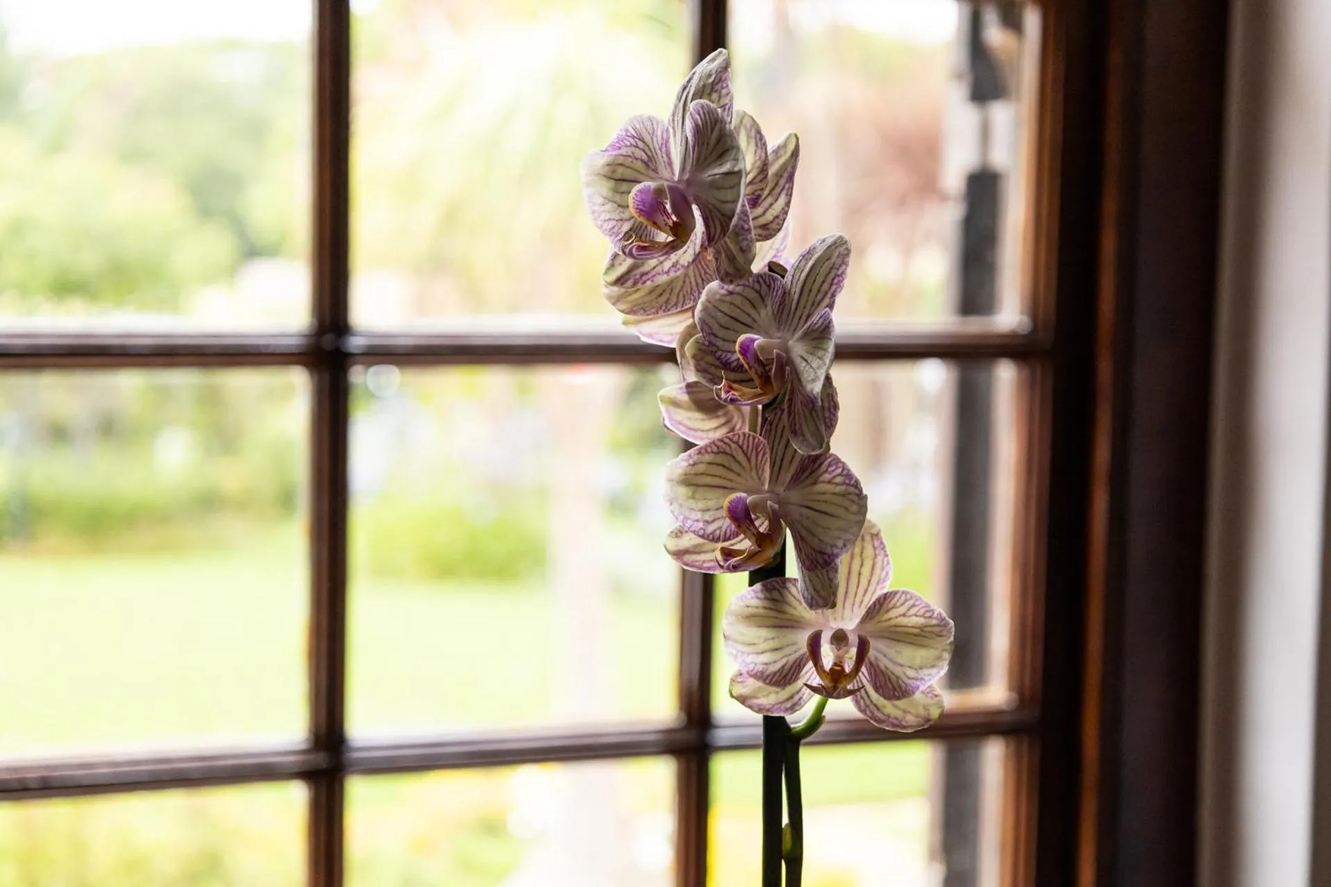 Decorative detail in Cape Village Lodge