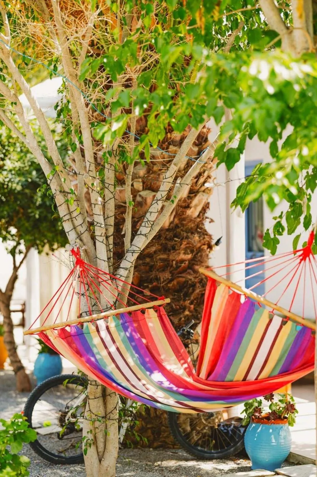 Garden in Gerani Studios