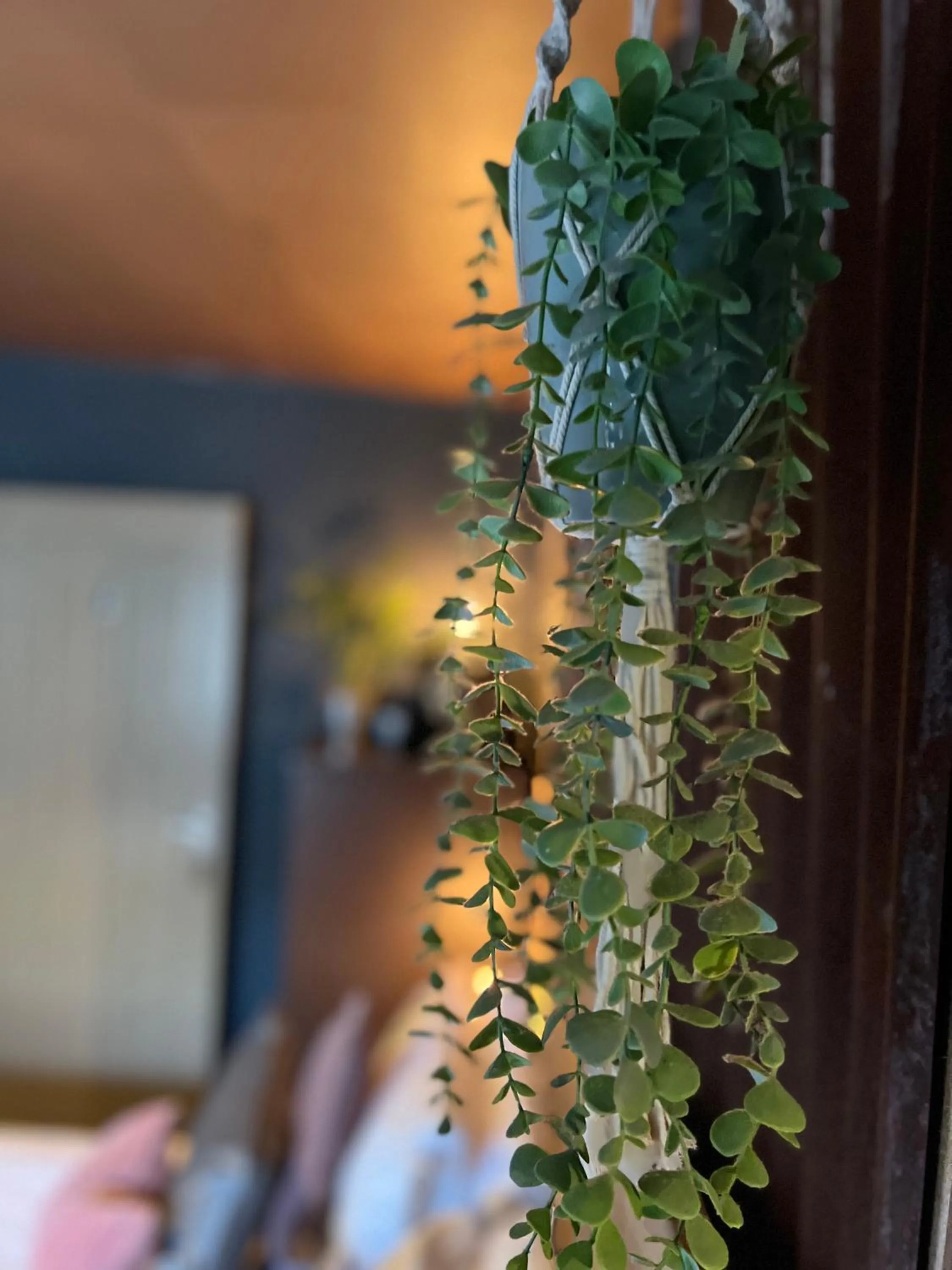 Bed in Watergate YARD