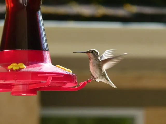 Rae Leigh Heights BnB