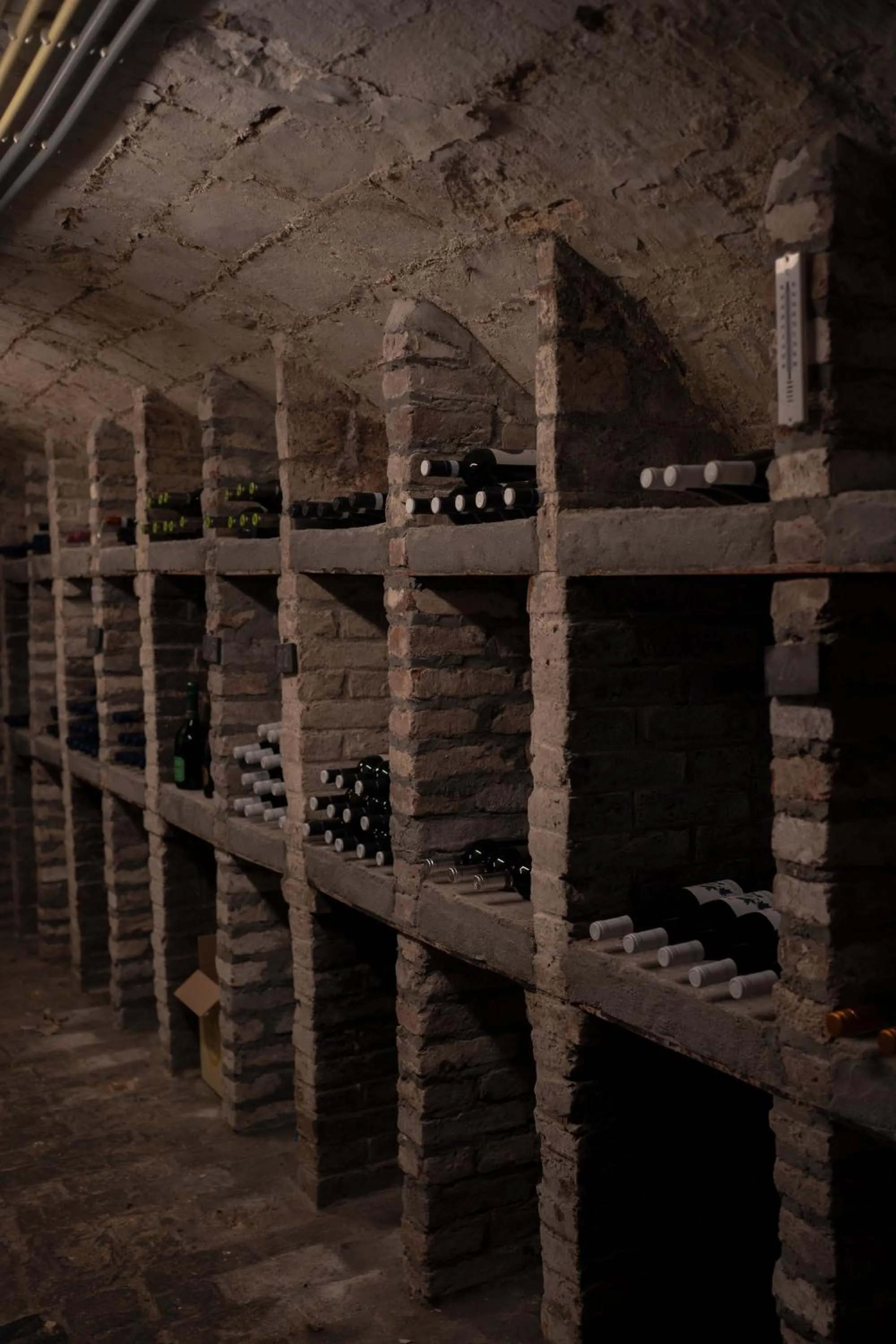 Lounge or bar in Hotel Botticelli