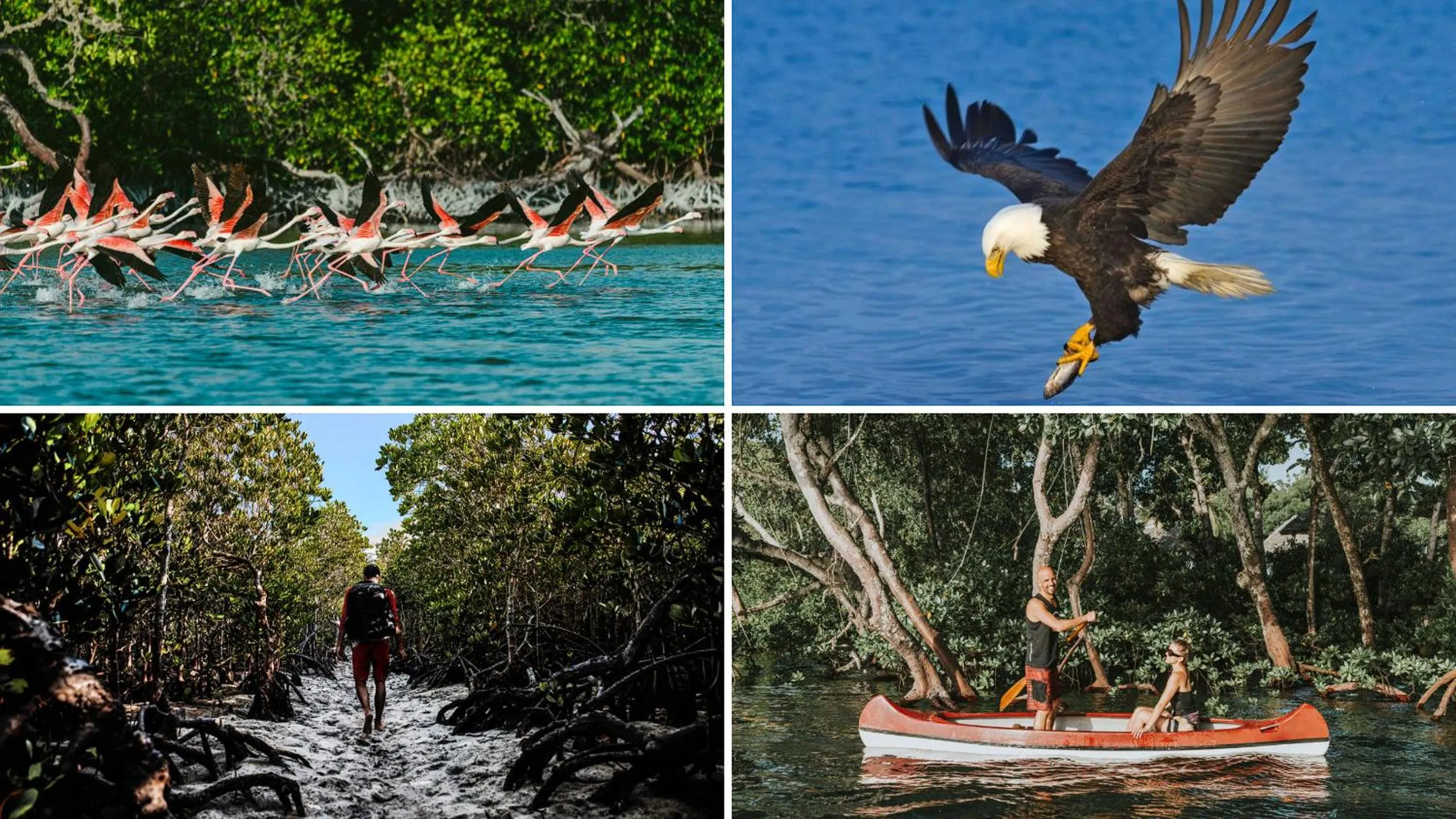 Nearby landmark in Temple Point Resort
