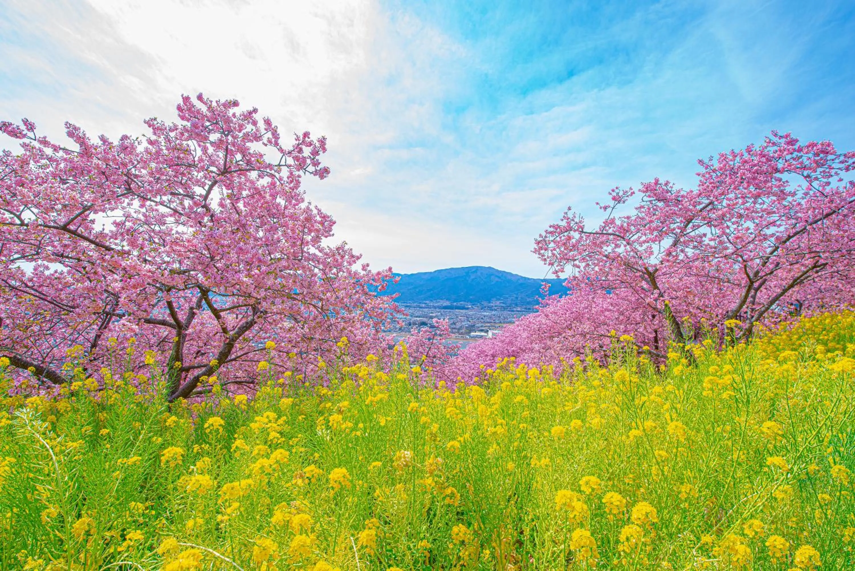 Natural landscape in Kaiyutei