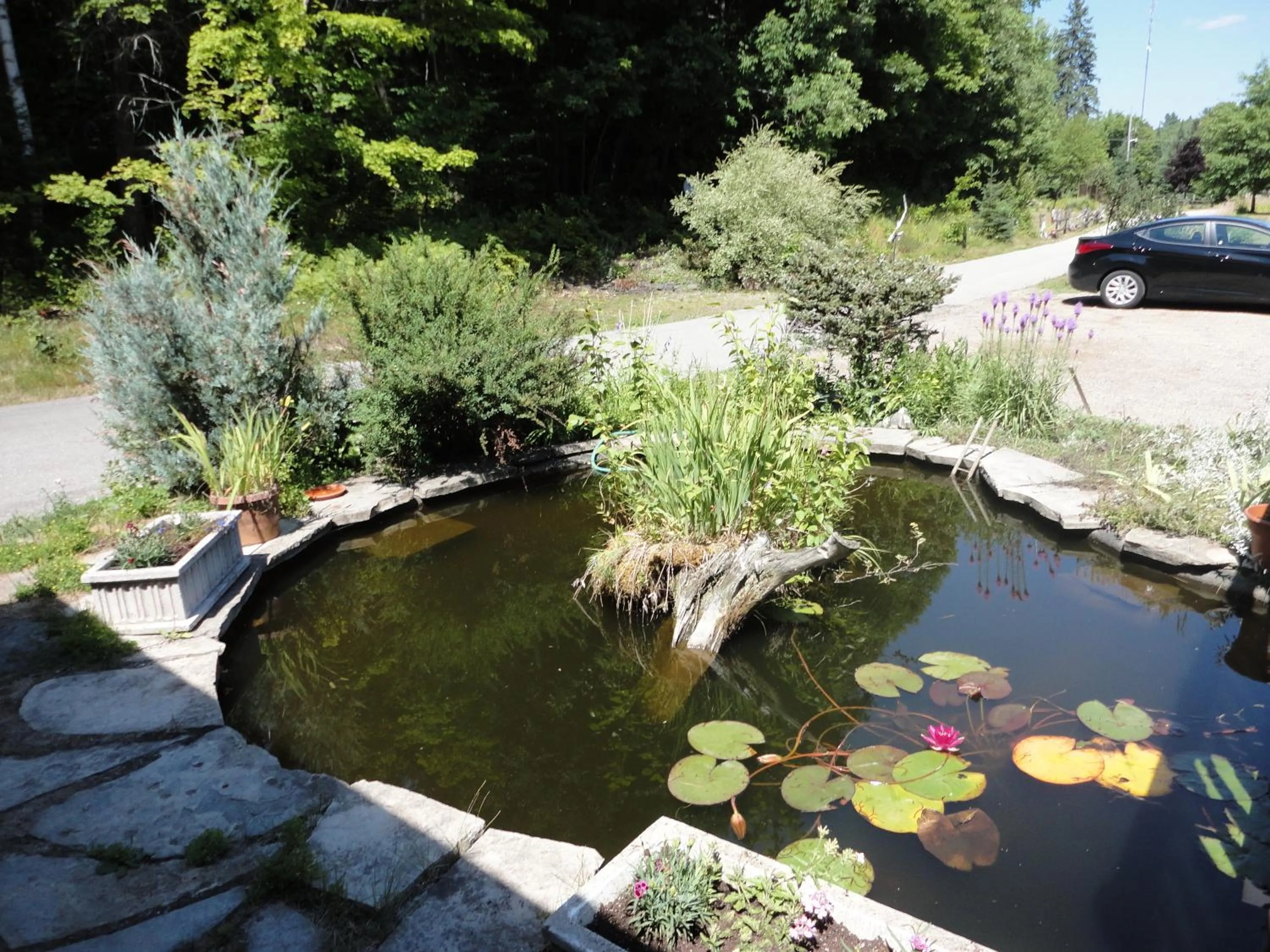 Garden in Dwight Riverside Inn