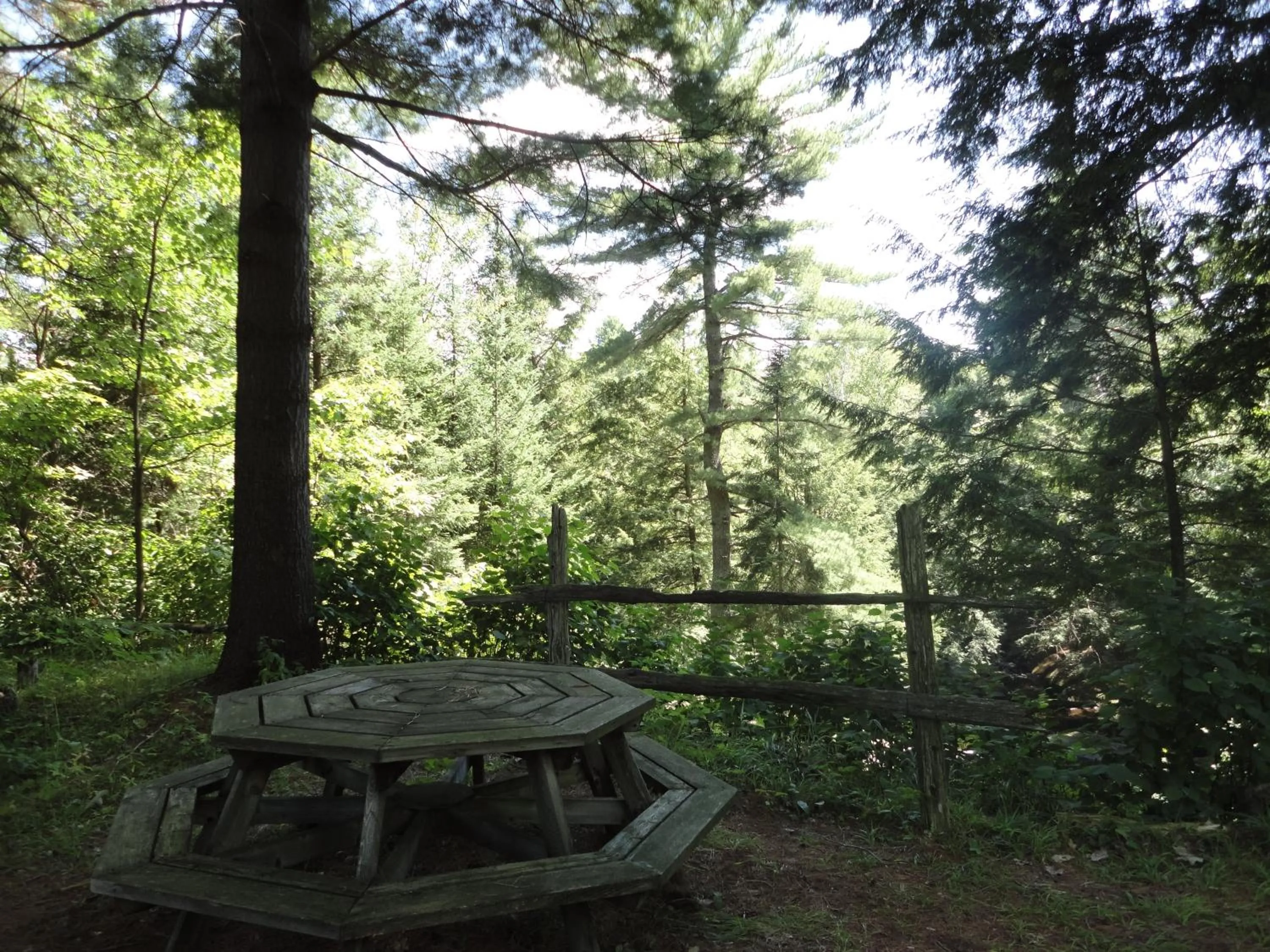 Garden in Dwight Riverside Inn