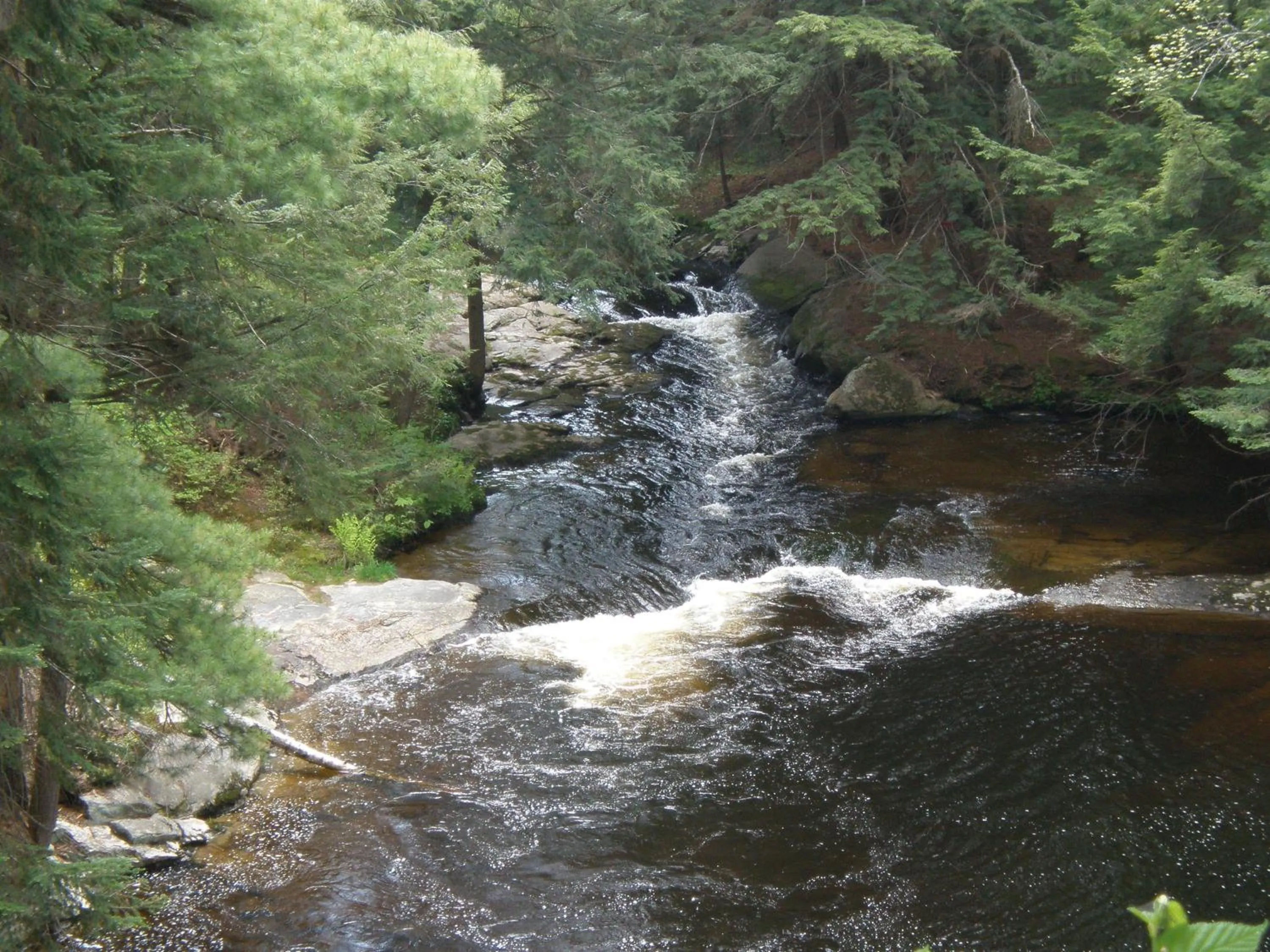 Area and facilities in Dwight Riverside Inn