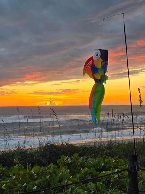 Oceanfront Sea Scape Motel