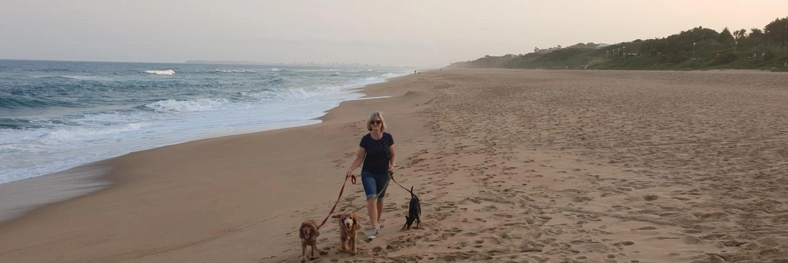 Beach in Hillside Guesthouse Umhlanga