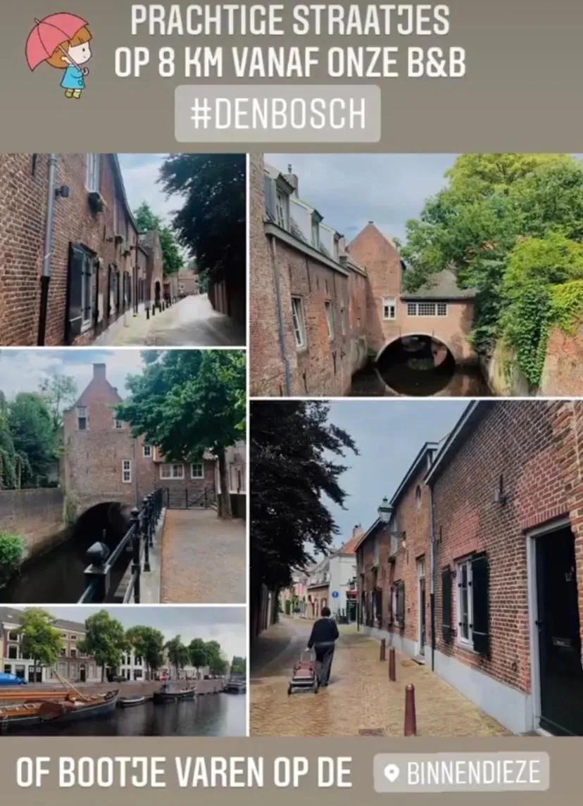 Neighbourhood in Bed and Breakfast: 'Bij ons Achter'