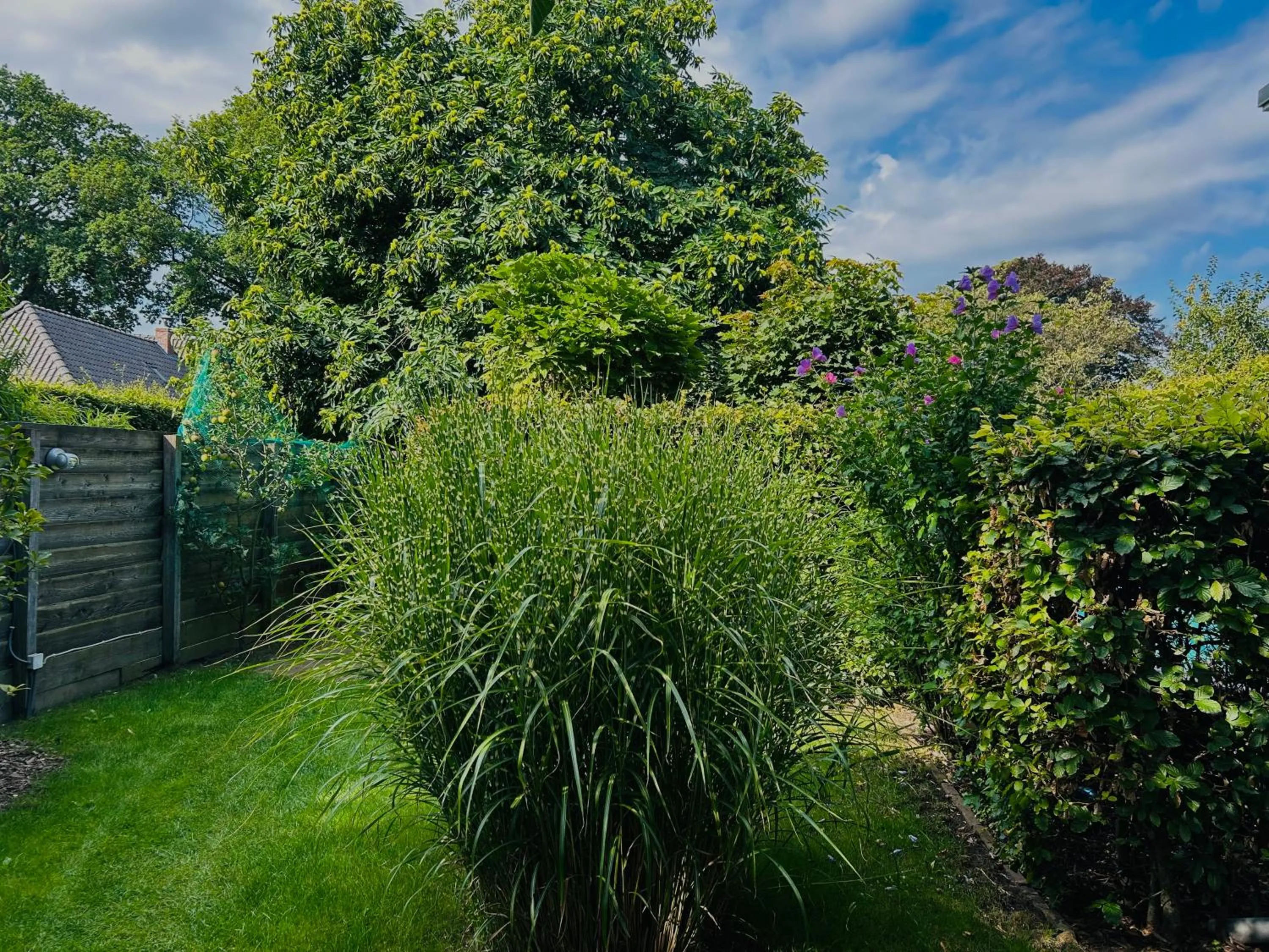 Bed and Breakfast: 'Bij ons Achter'