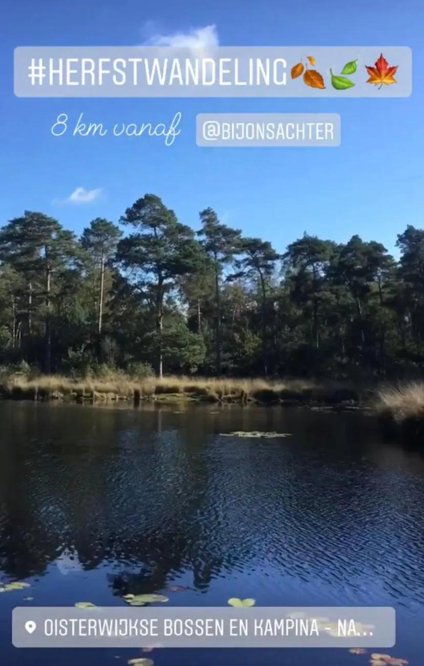 Natural landscape in Bed and Breakfast: 'Bij ons Achter'