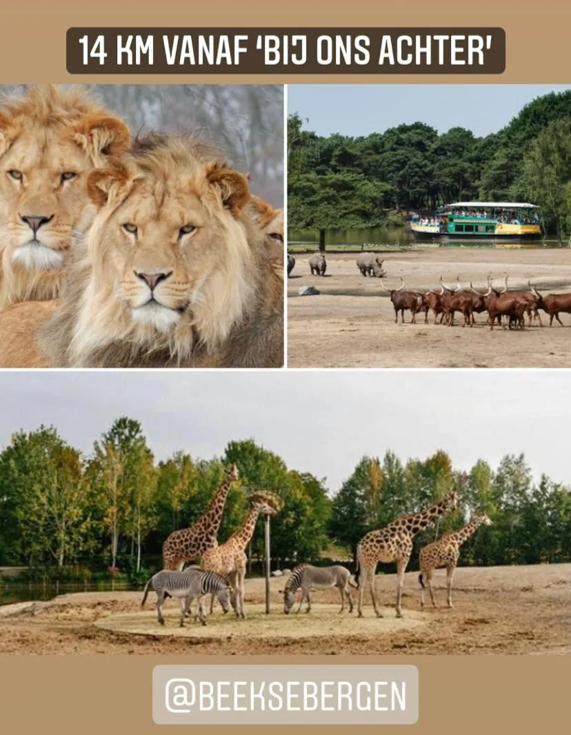 Activities in Bed and Breakfast: 'Bij ons Achter'