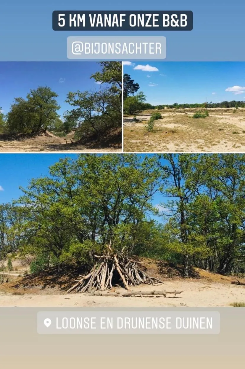 Natural landscape in Bed and Breakfast: 'Bij ons Achter'