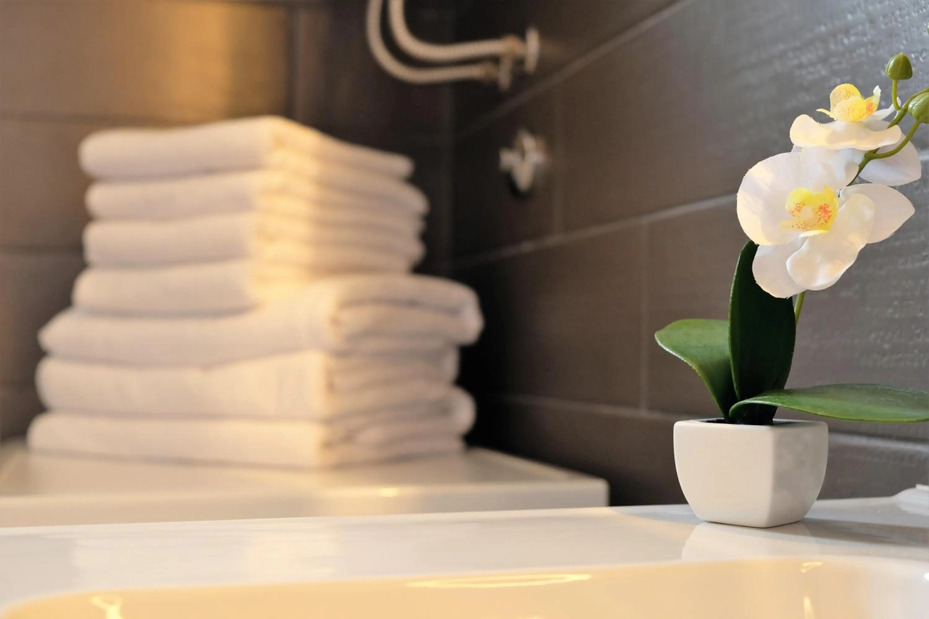 Bathroom in Apartment Mint&Rose