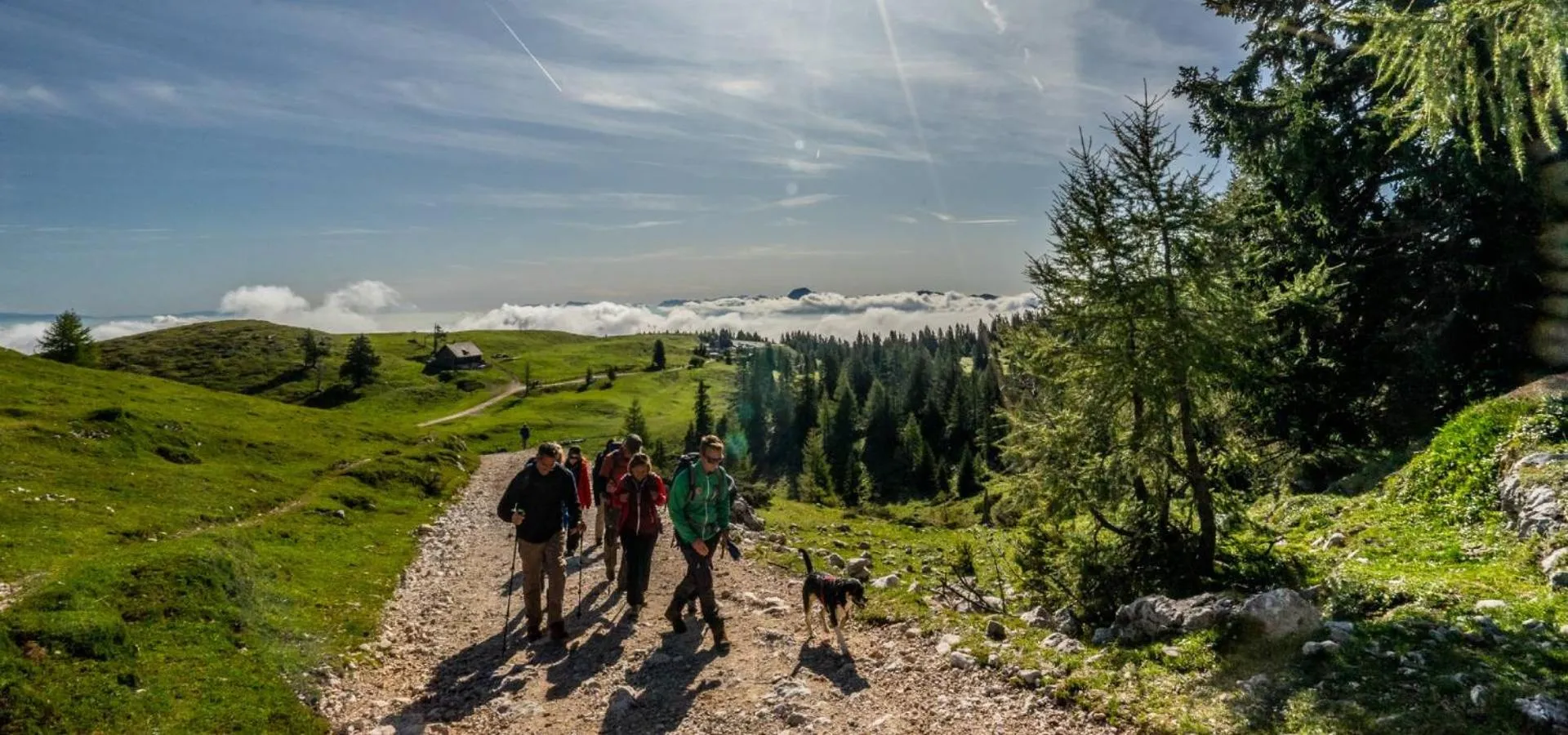 Hiking in Naturel Hoteldorf Schönleitn