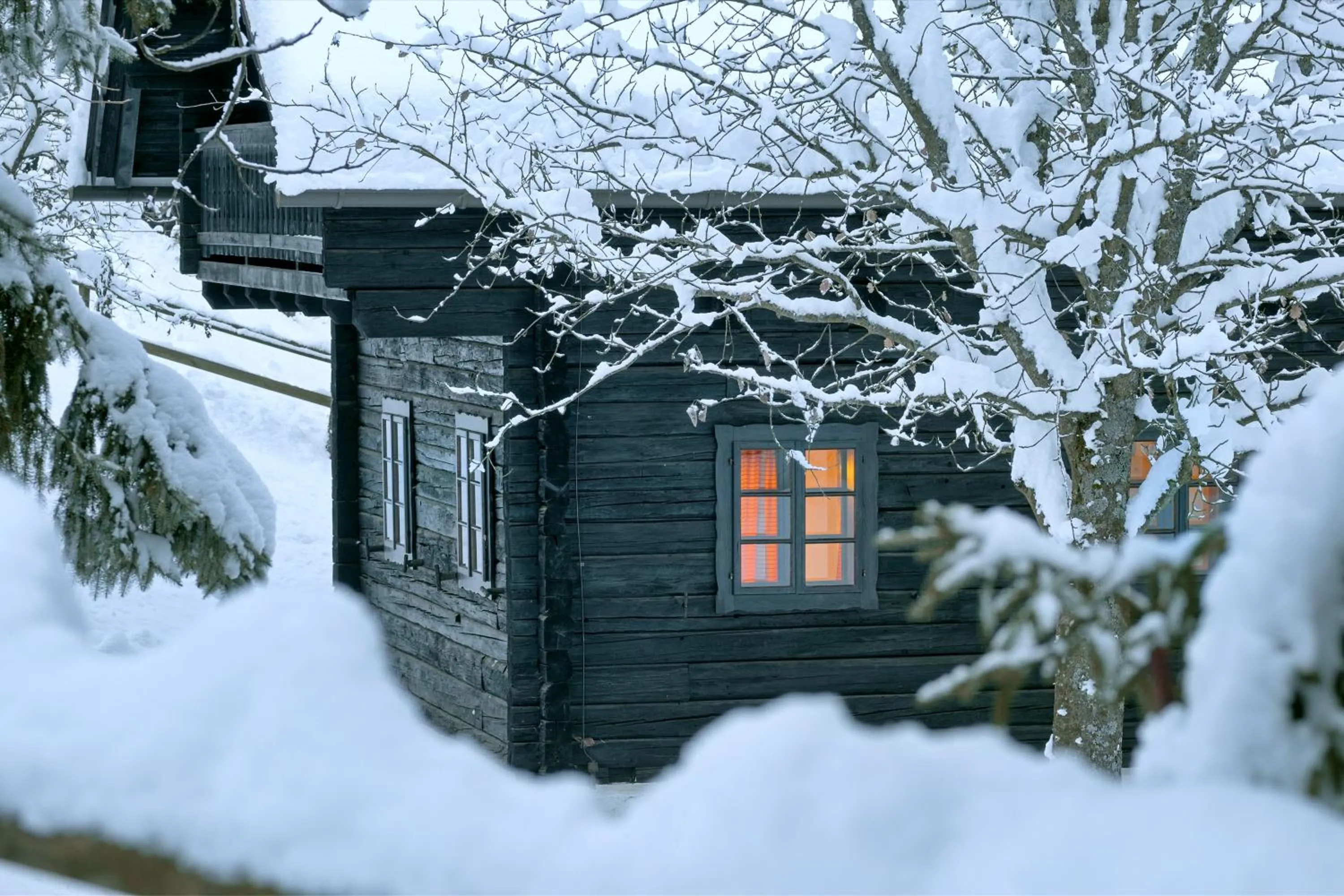 Facade/entrance in Naturel Hoteldorf Schönleitn
