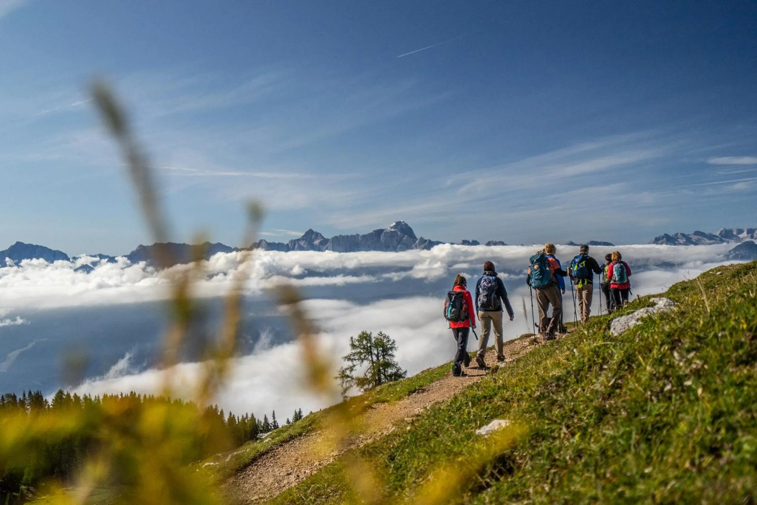 Hiking in Naturel Hoteldorf Schönleitn