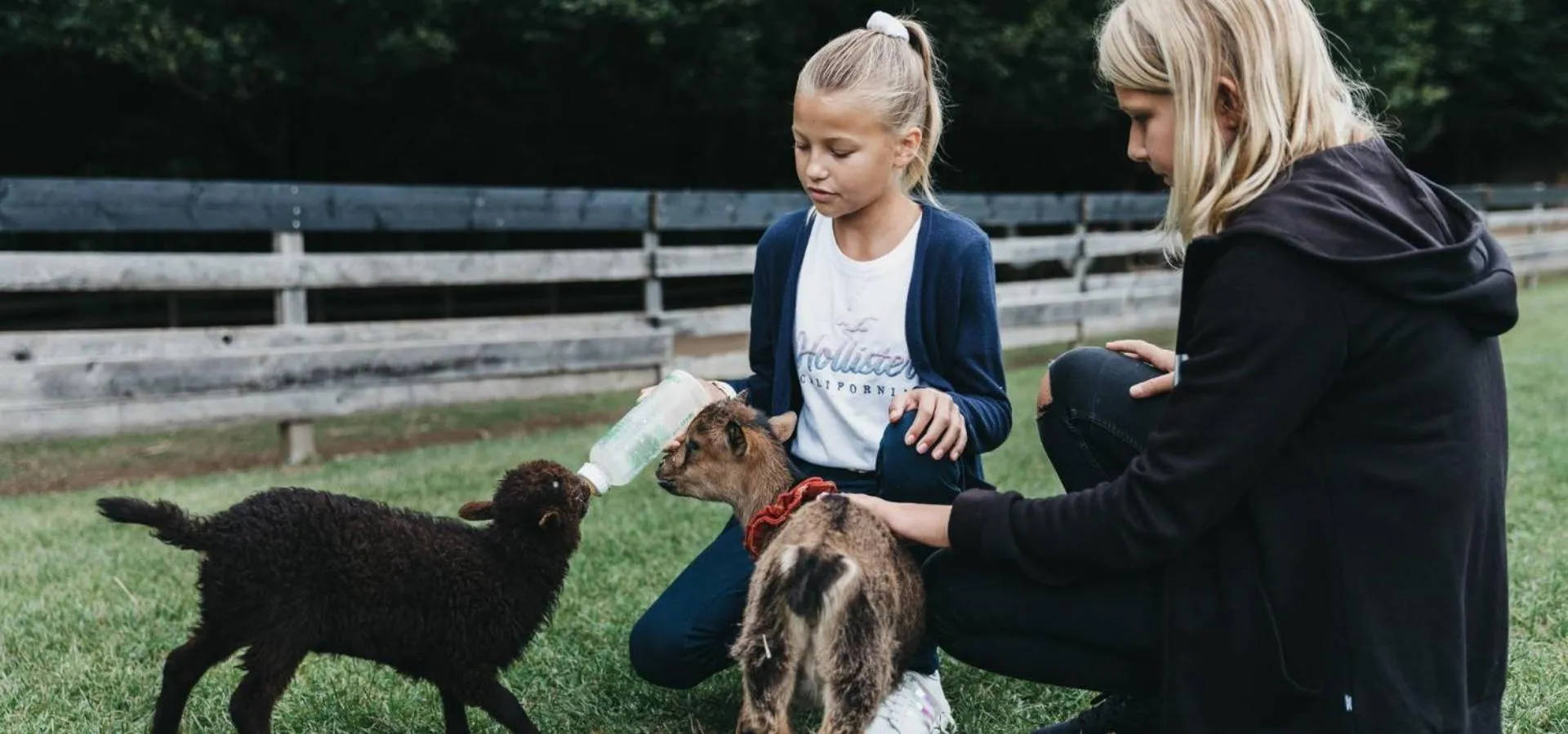 Kids's club in Naturel Hoteldorf Schönleitn