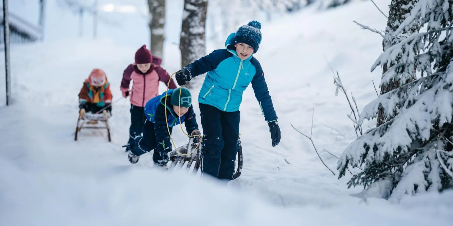 Activities in Naturel Hoteldorf Schönleitn