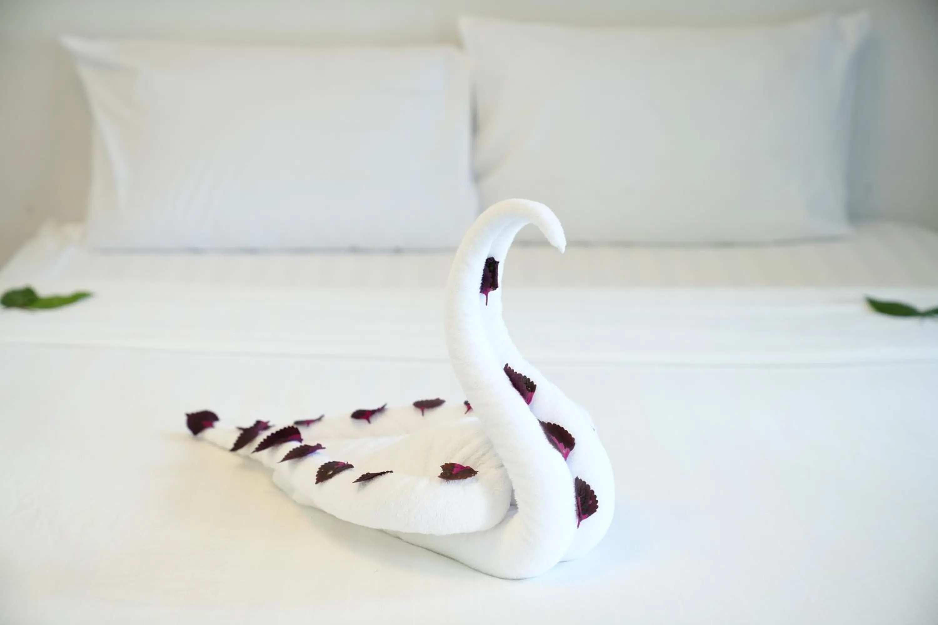 Bed in Tube Resort by EHM