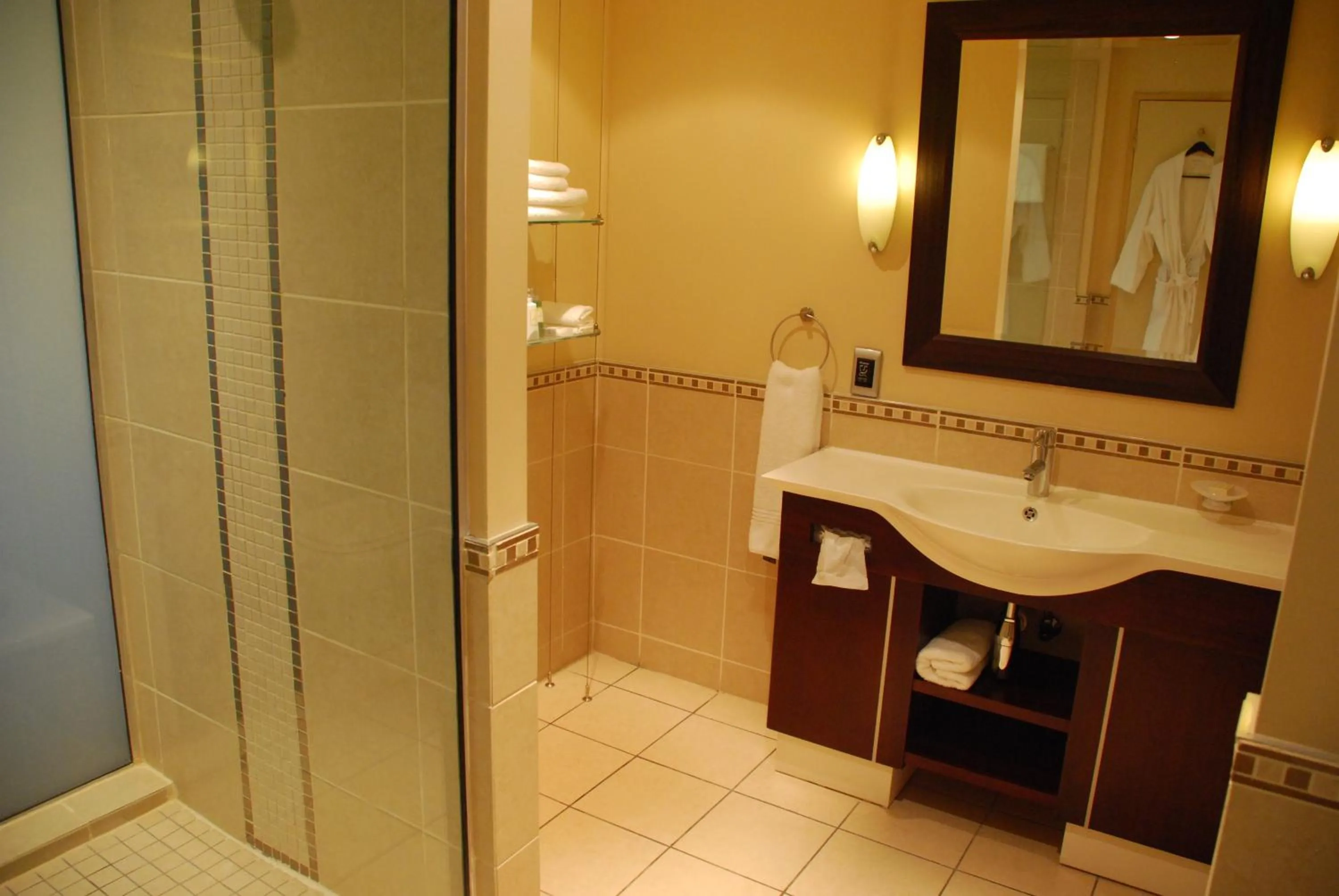 Bathroom in Southern Sun OR Tambo International Airport