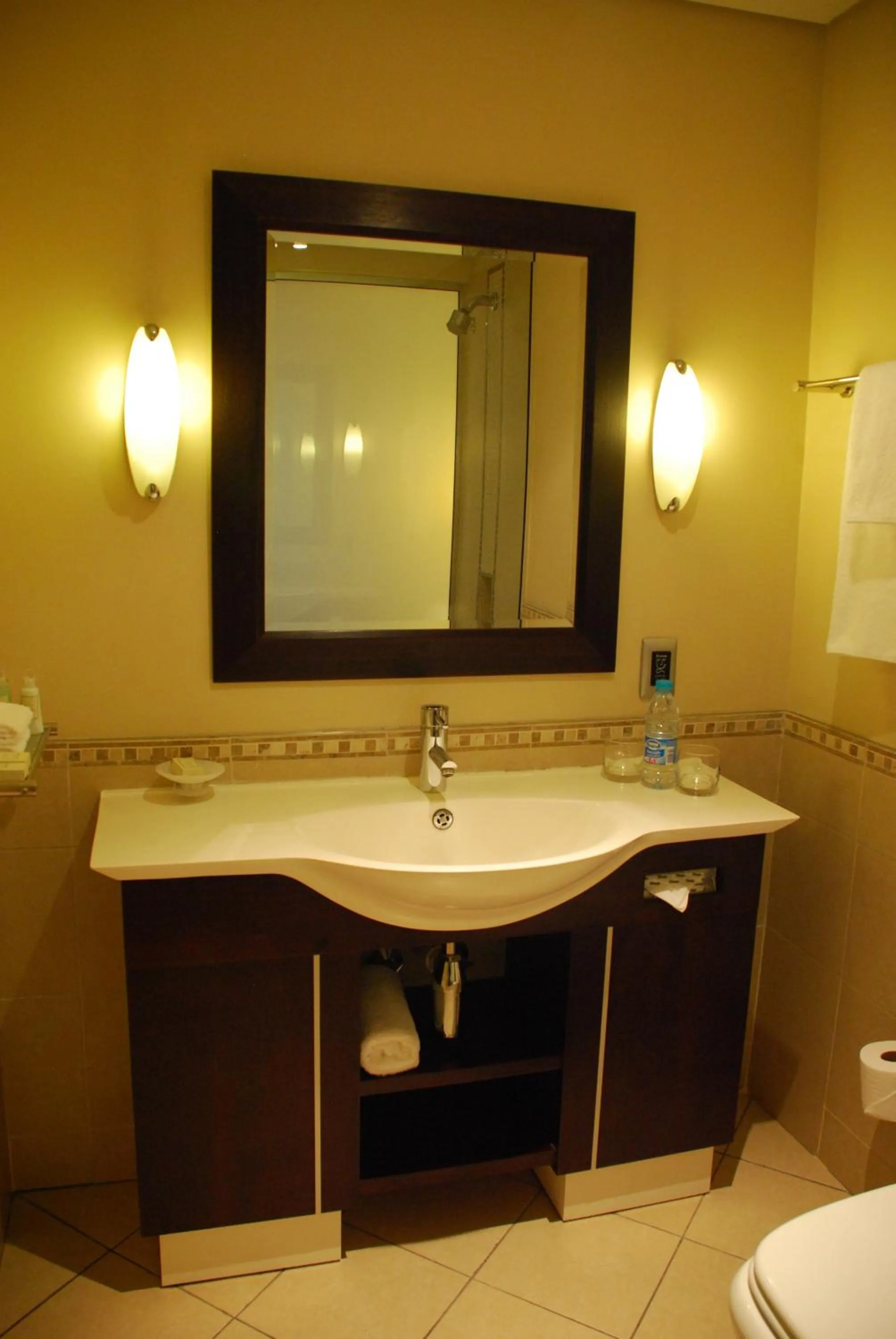 Bathroom in Southern Sun OR Tambo International Airport