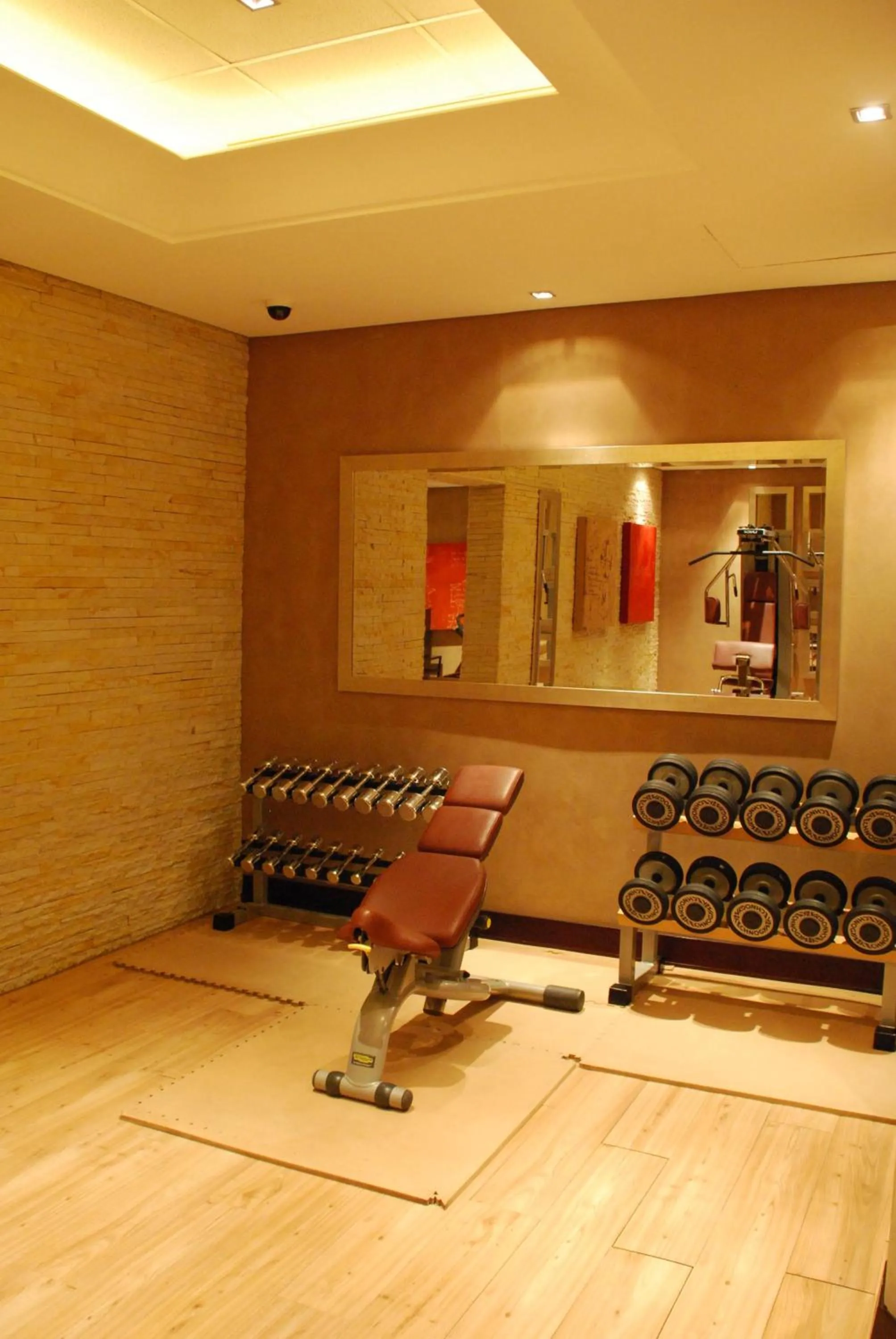 Fitness centre/facilities in Southern Sun OR Tambo International Airport