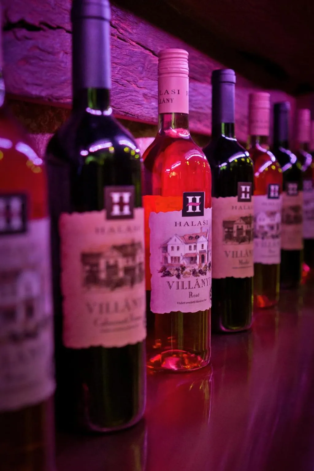 Other in Halasi Pince Panzió