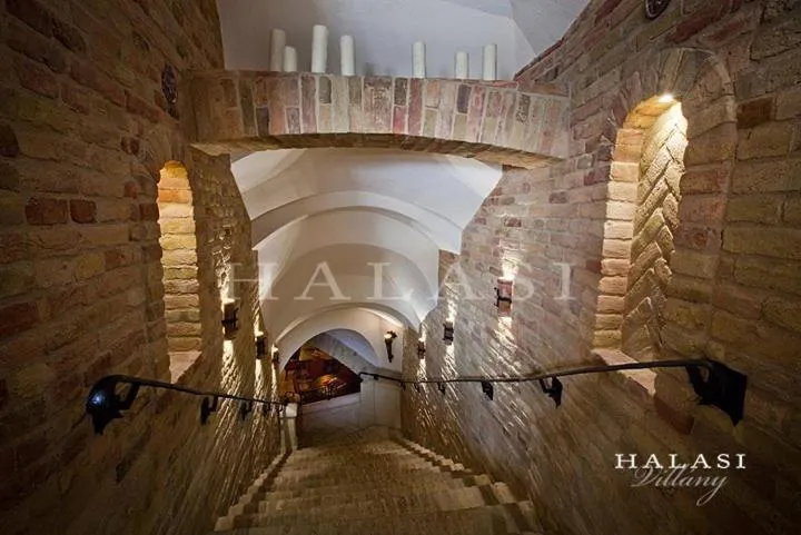 Decorative detail in Halasi Pince Panzió