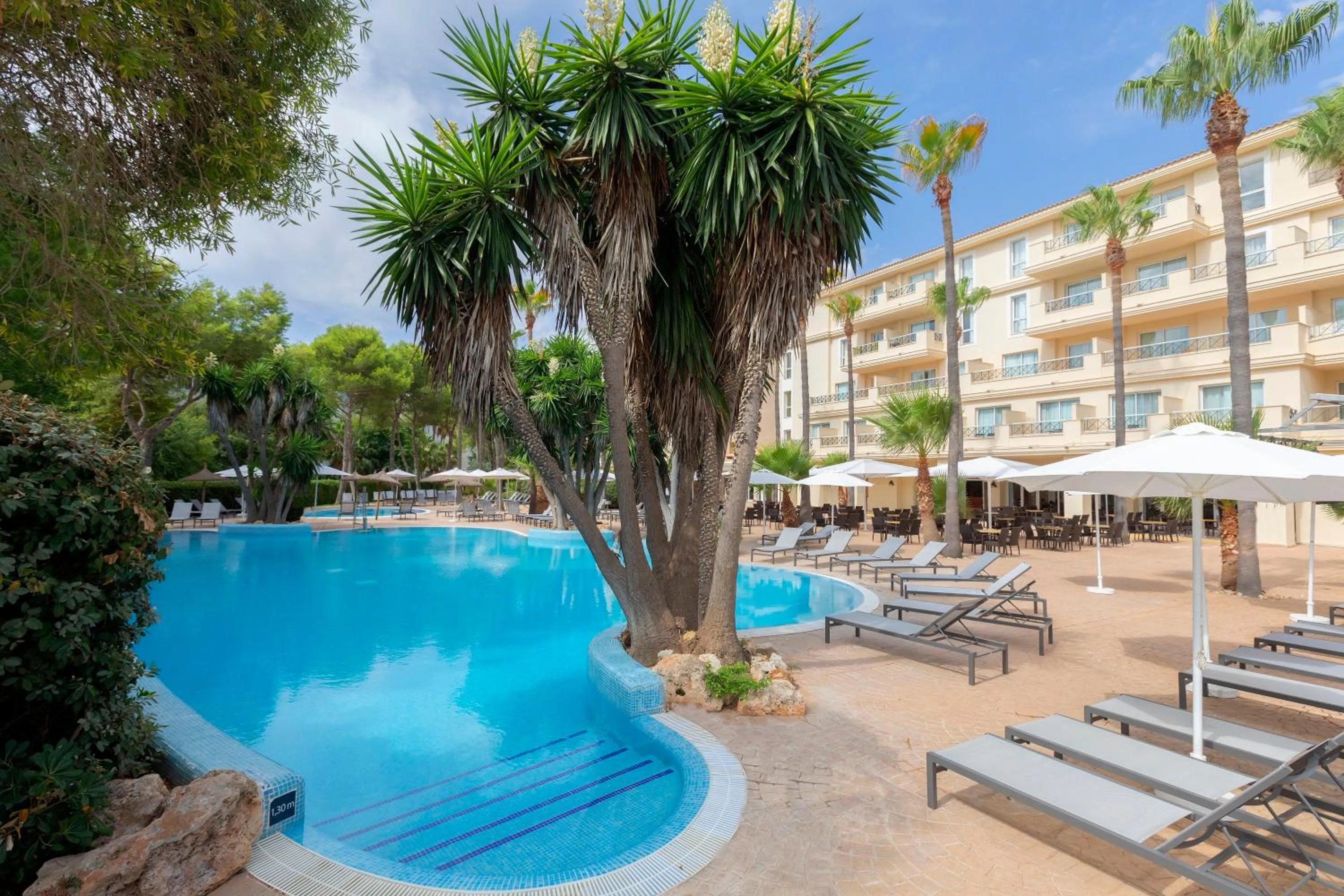 Swimming pool in HM Mar Blau