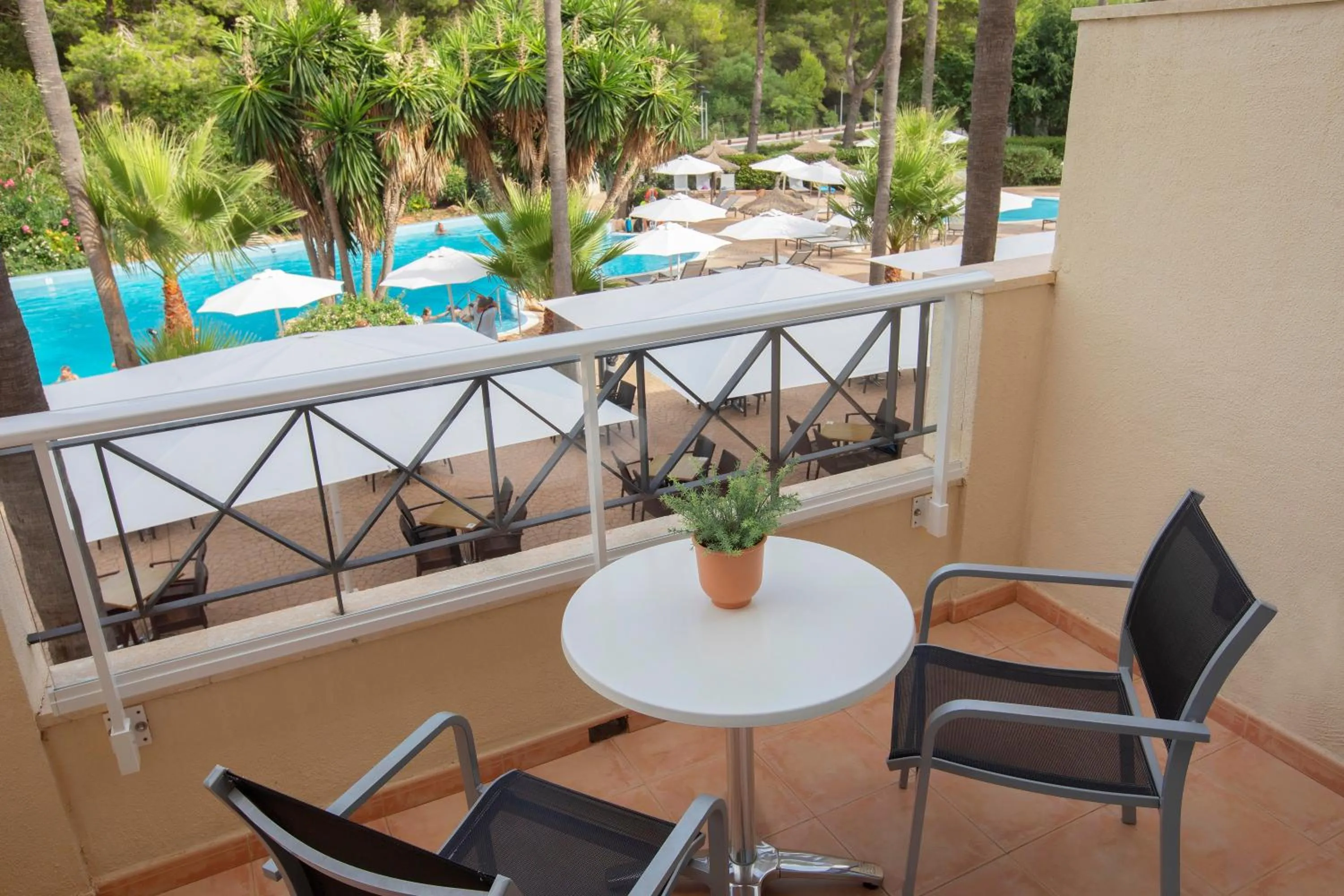 Area and facilities in HM Mar Blau