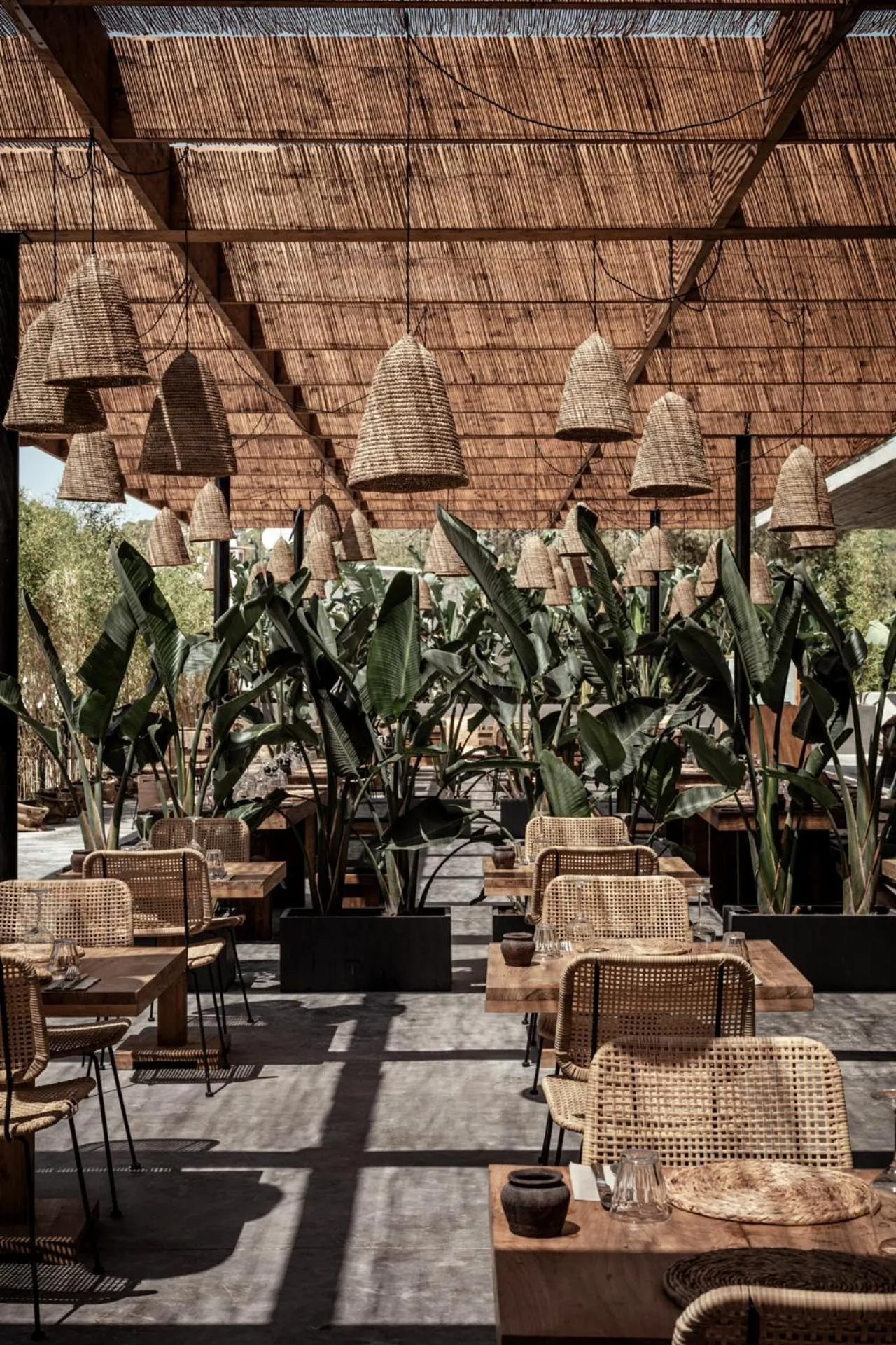 Restaurant/places to eat in OKU Ibiza
