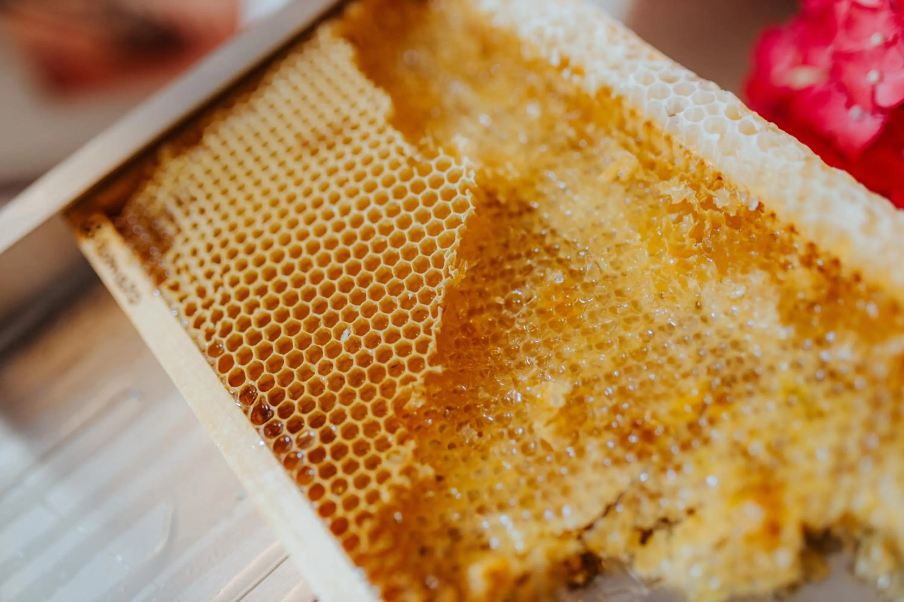 Breakfast in Hotel Adria