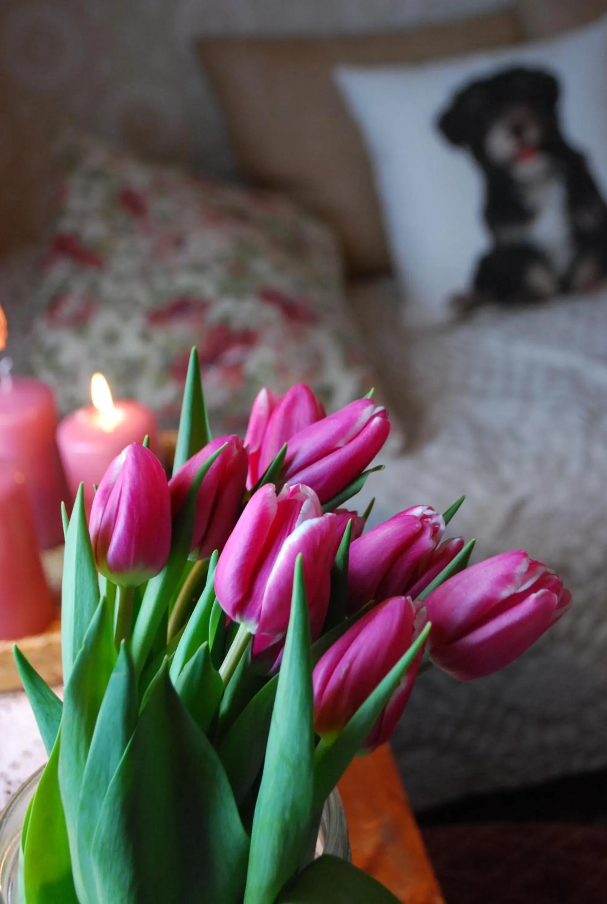 Bed in Löydön Kartano