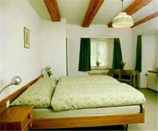 Photo of the whole room in Landgasthof St. Luzisteig