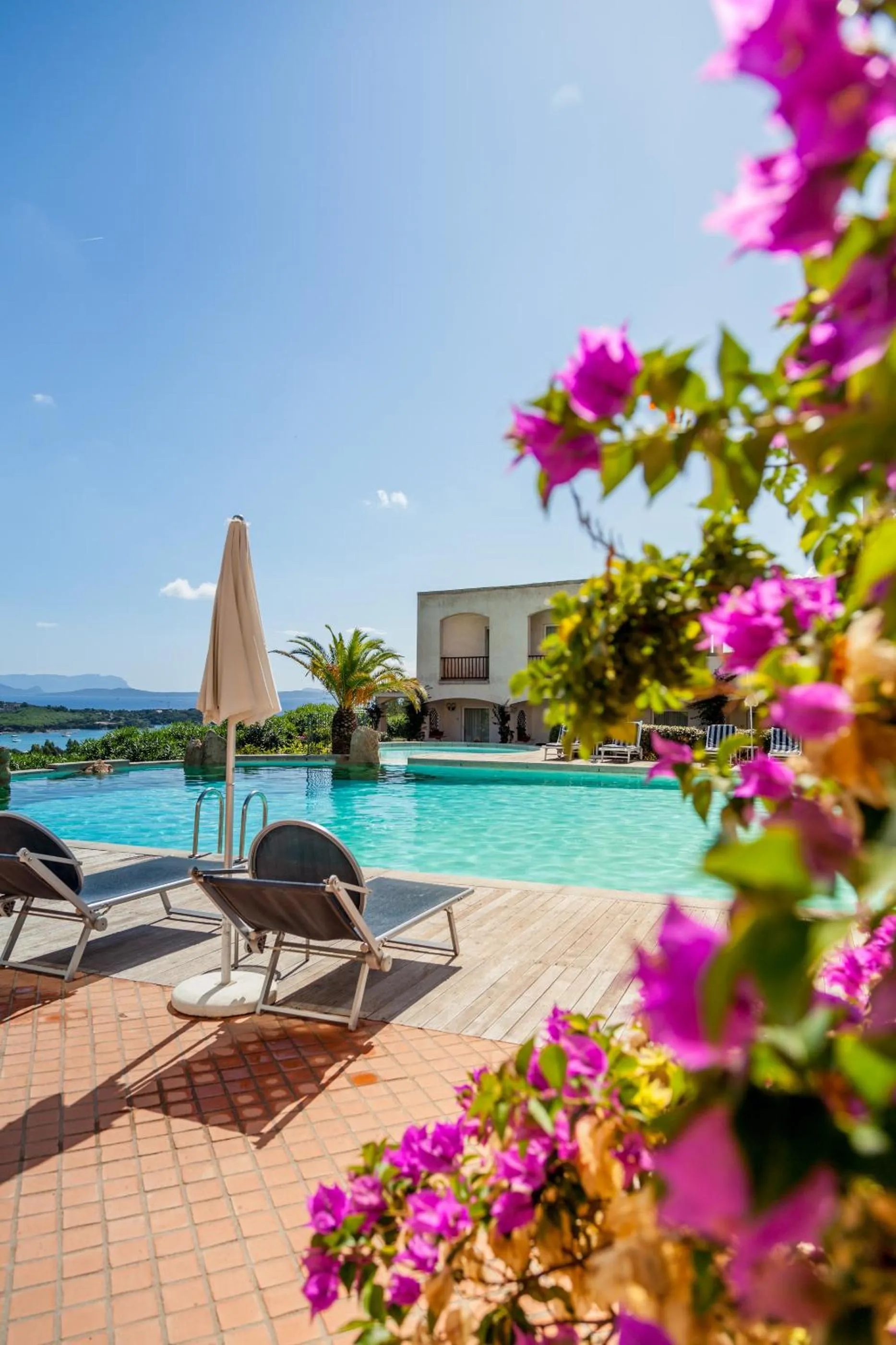 Pool view in Petra Bianca