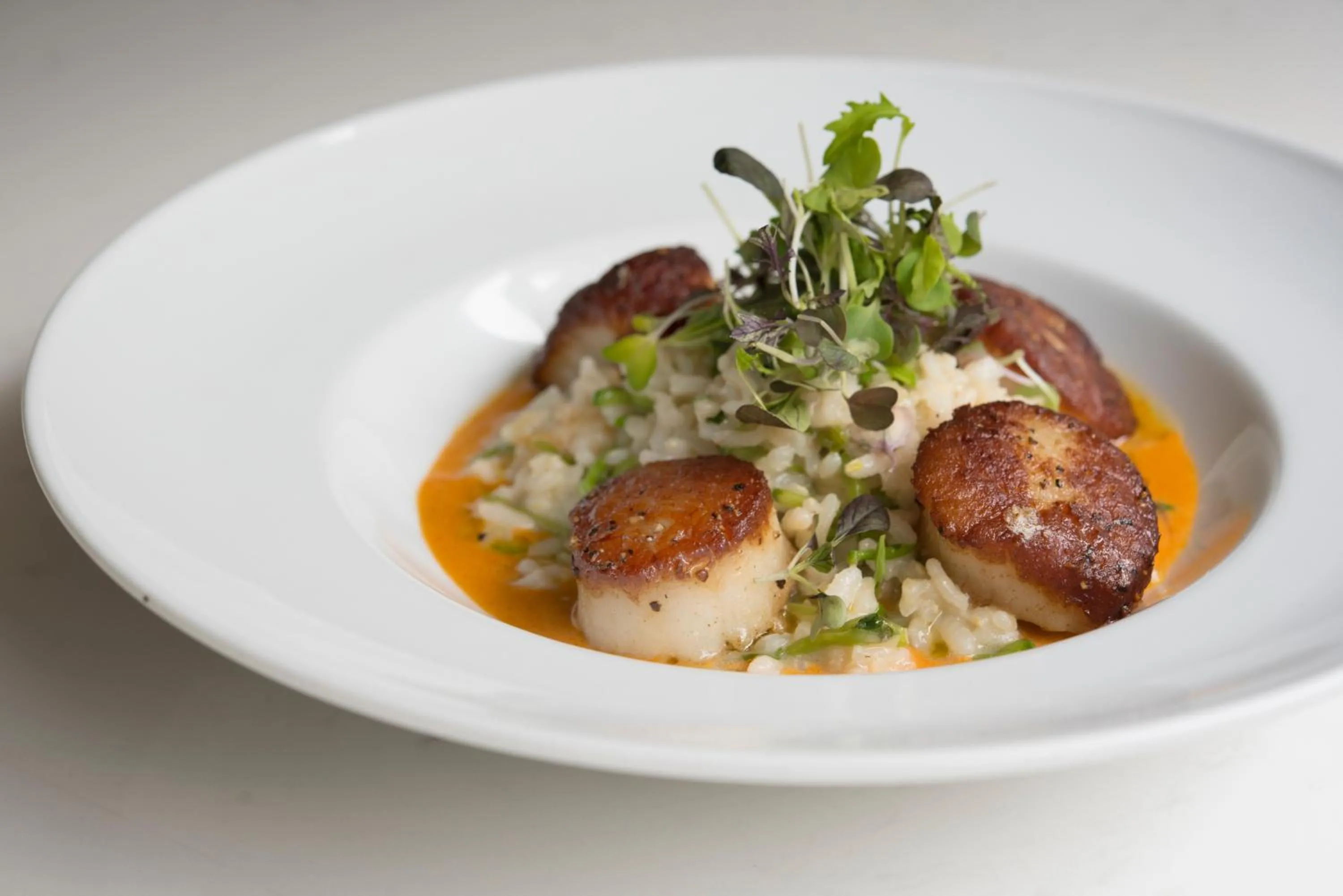 Dinner in The Tidewater Inn