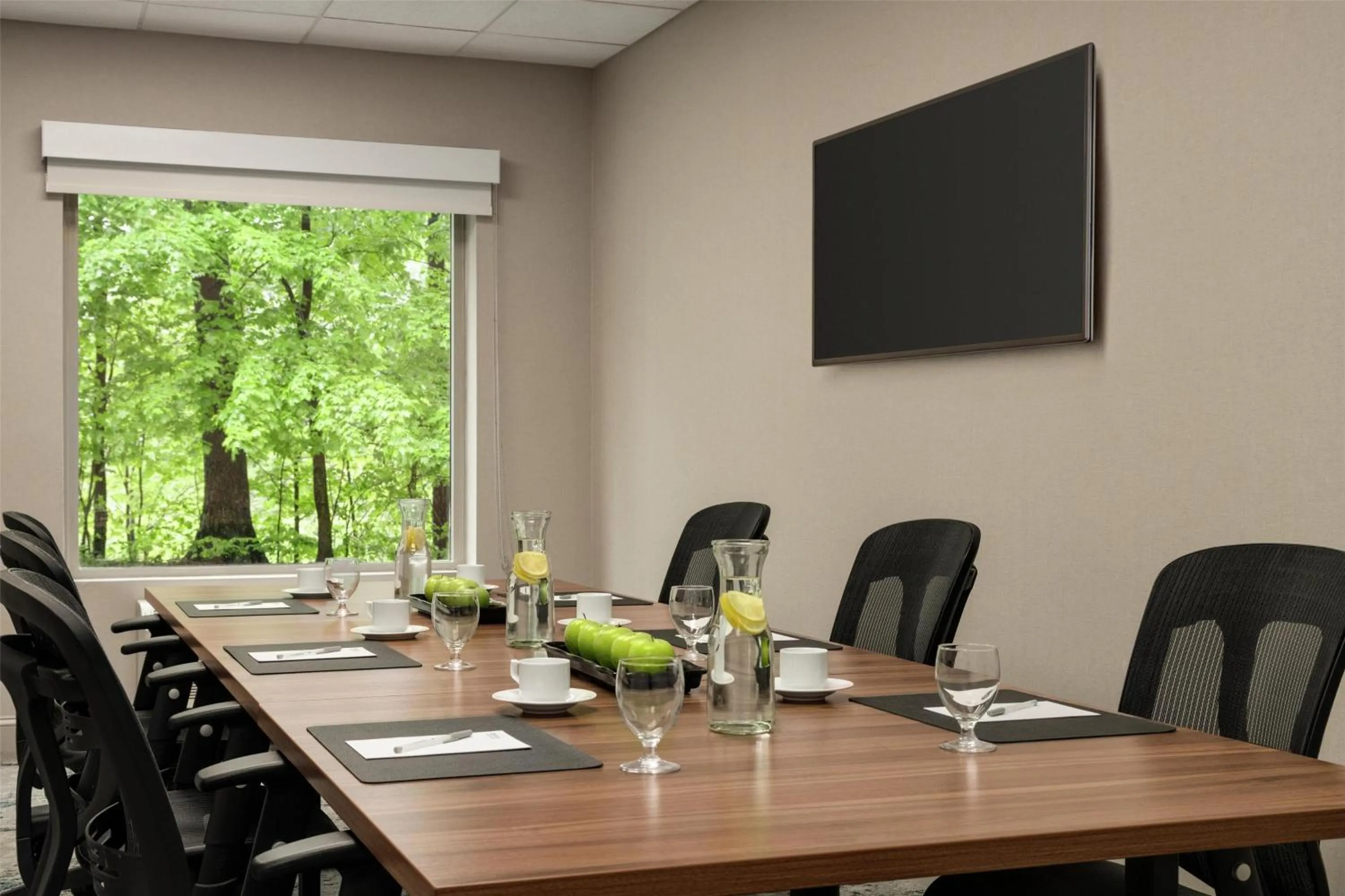 Meeting/conference room in Hilton Garden Inn Cleveland Airport