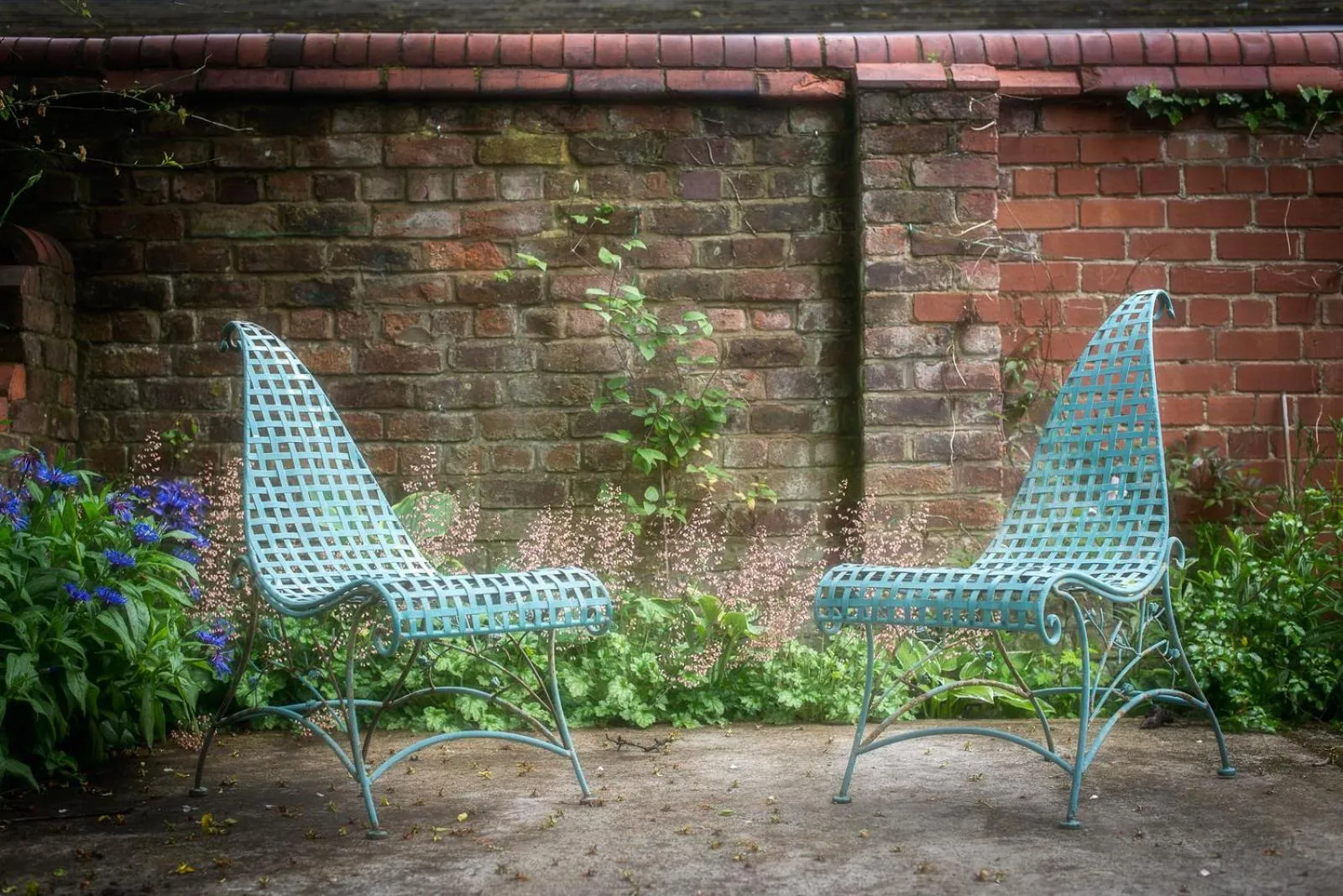 Garden in Woodcote Hotel