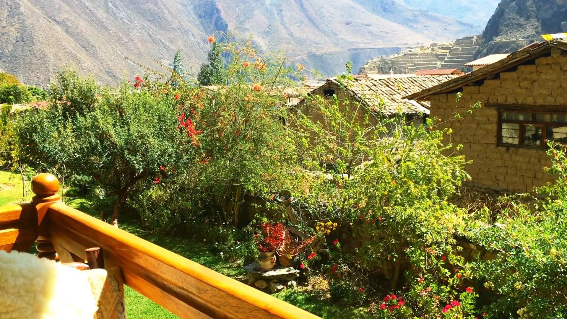 View (from property/room) in Apu Lodge