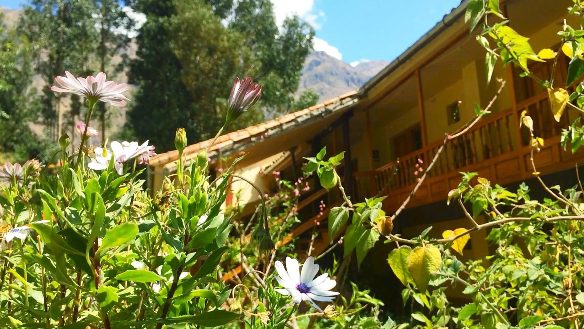 Property building in Apu Lodge