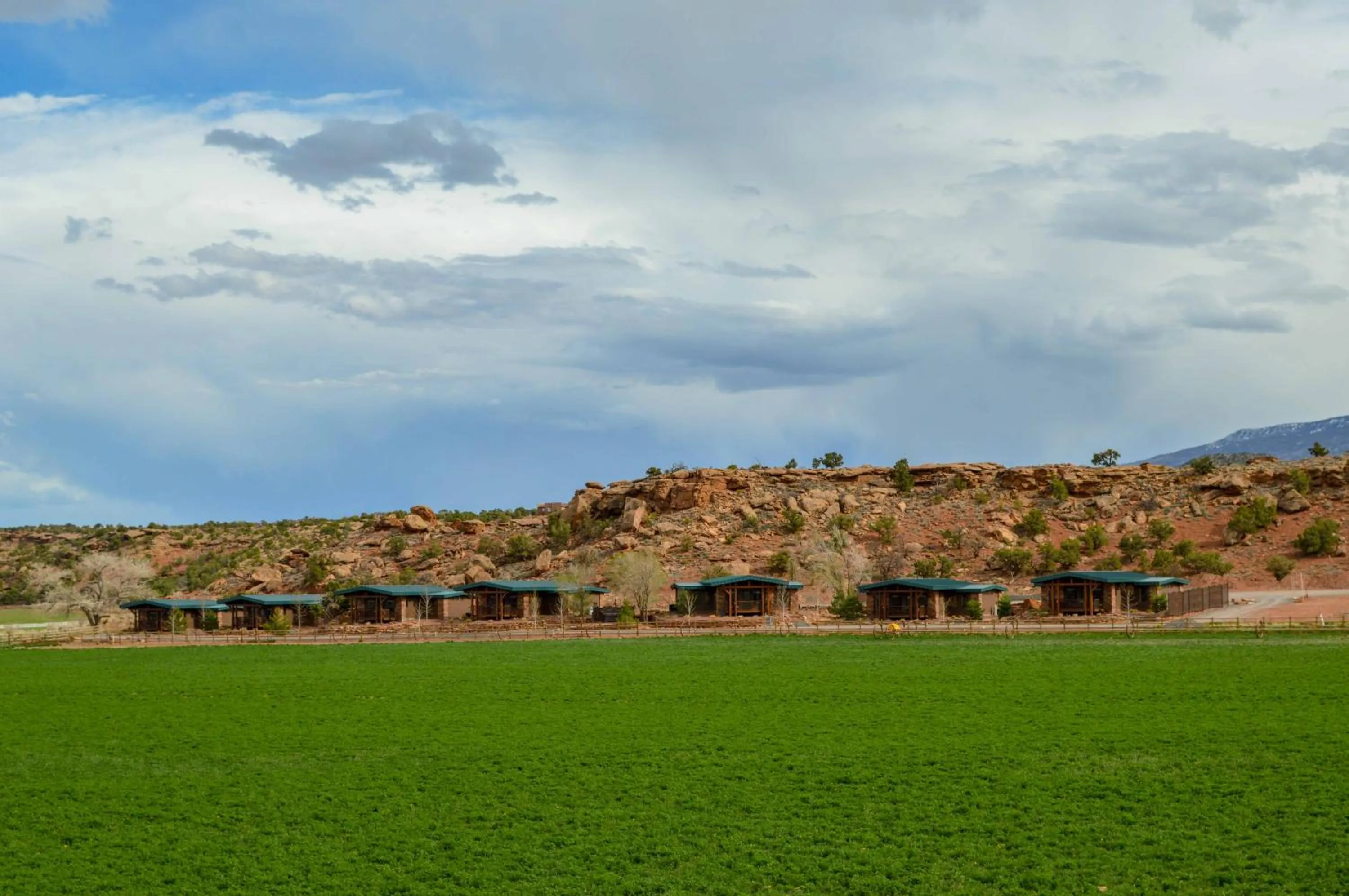 Spring in Cougar Ridge Resort