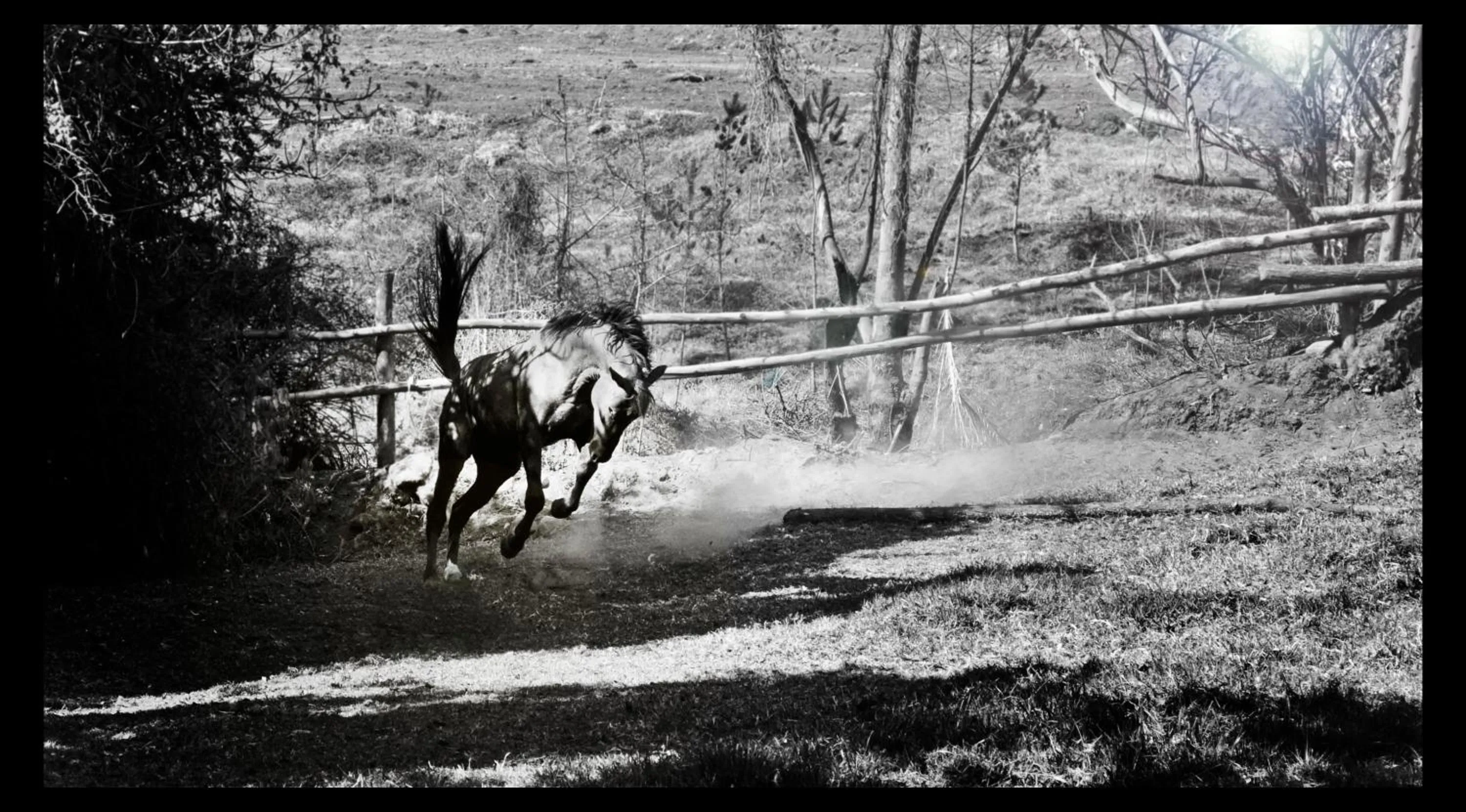 Natural landscape in Hostería Hacienda Pinsaqui