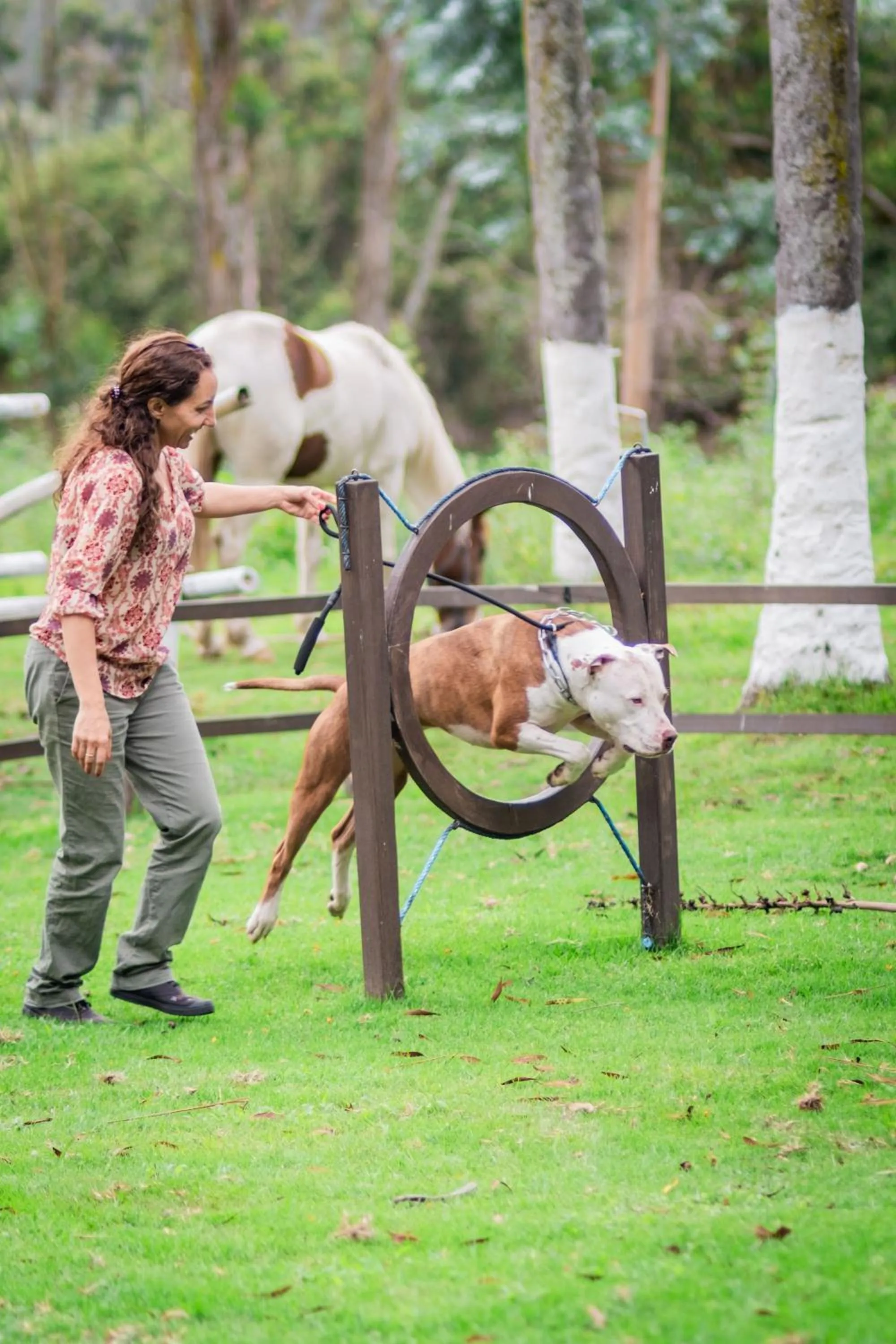 Garden in Hostería Hacienda Pinsaqui