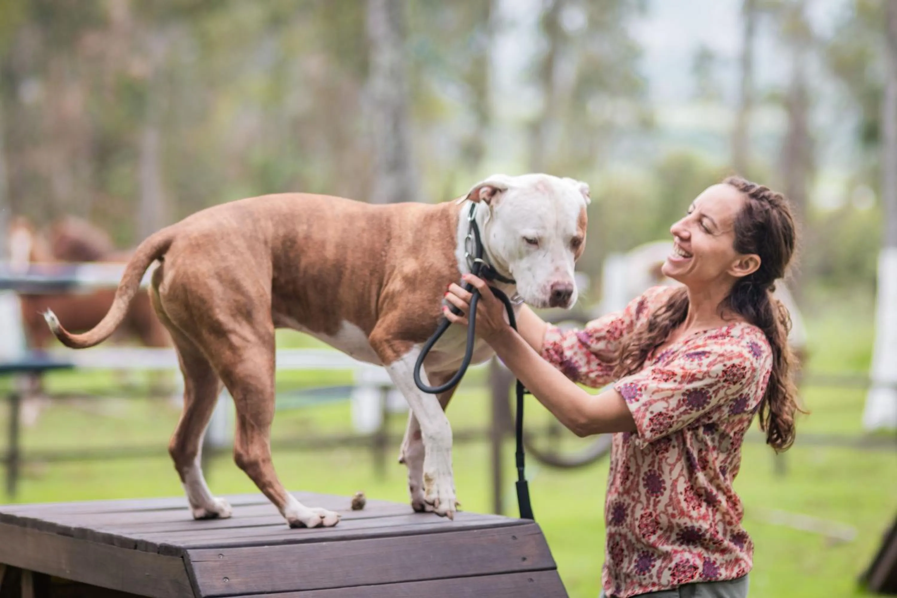 Garden in Hostería Hacienda Pinsaqui