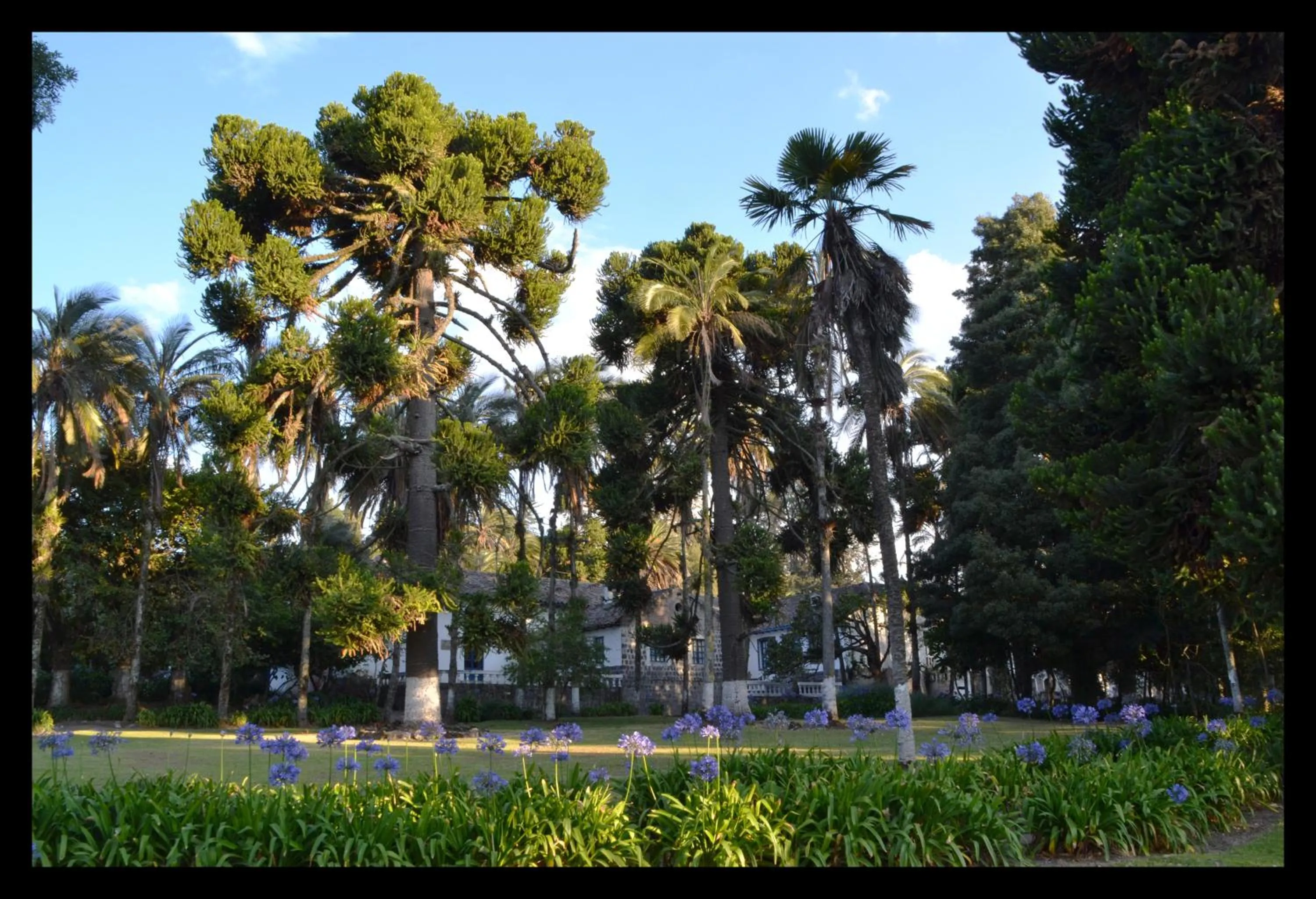 Natural landscape in Hostería Hacienda Pinsaqui